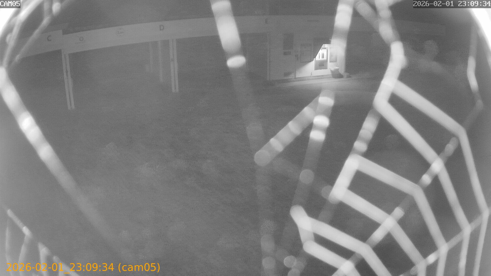 thumbnail_20260201230934