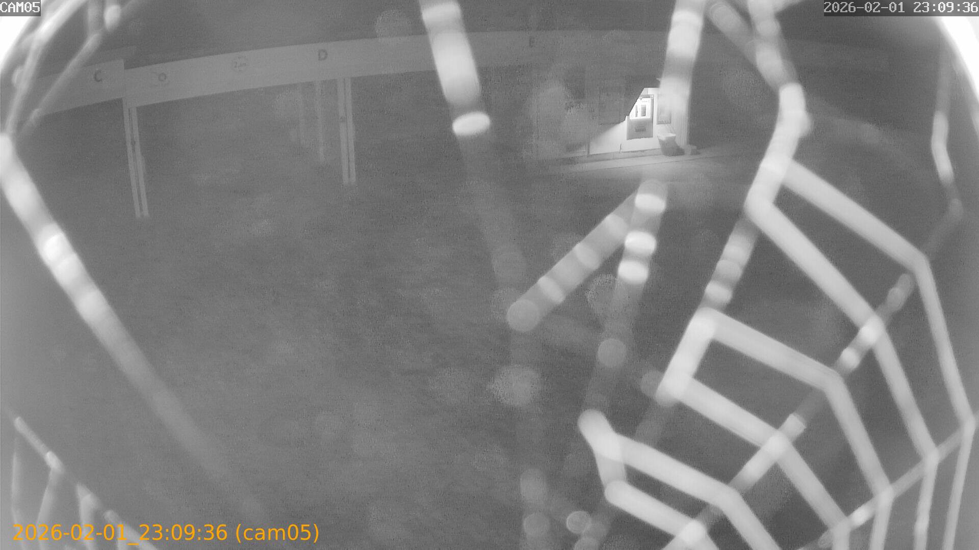 thumbnail_20260201230936