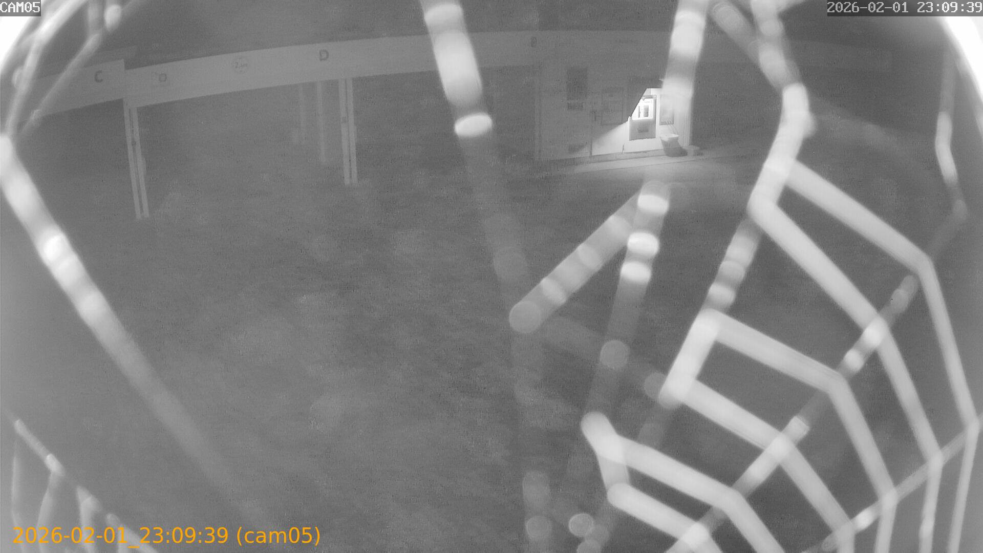 thumbnail_20260201230939