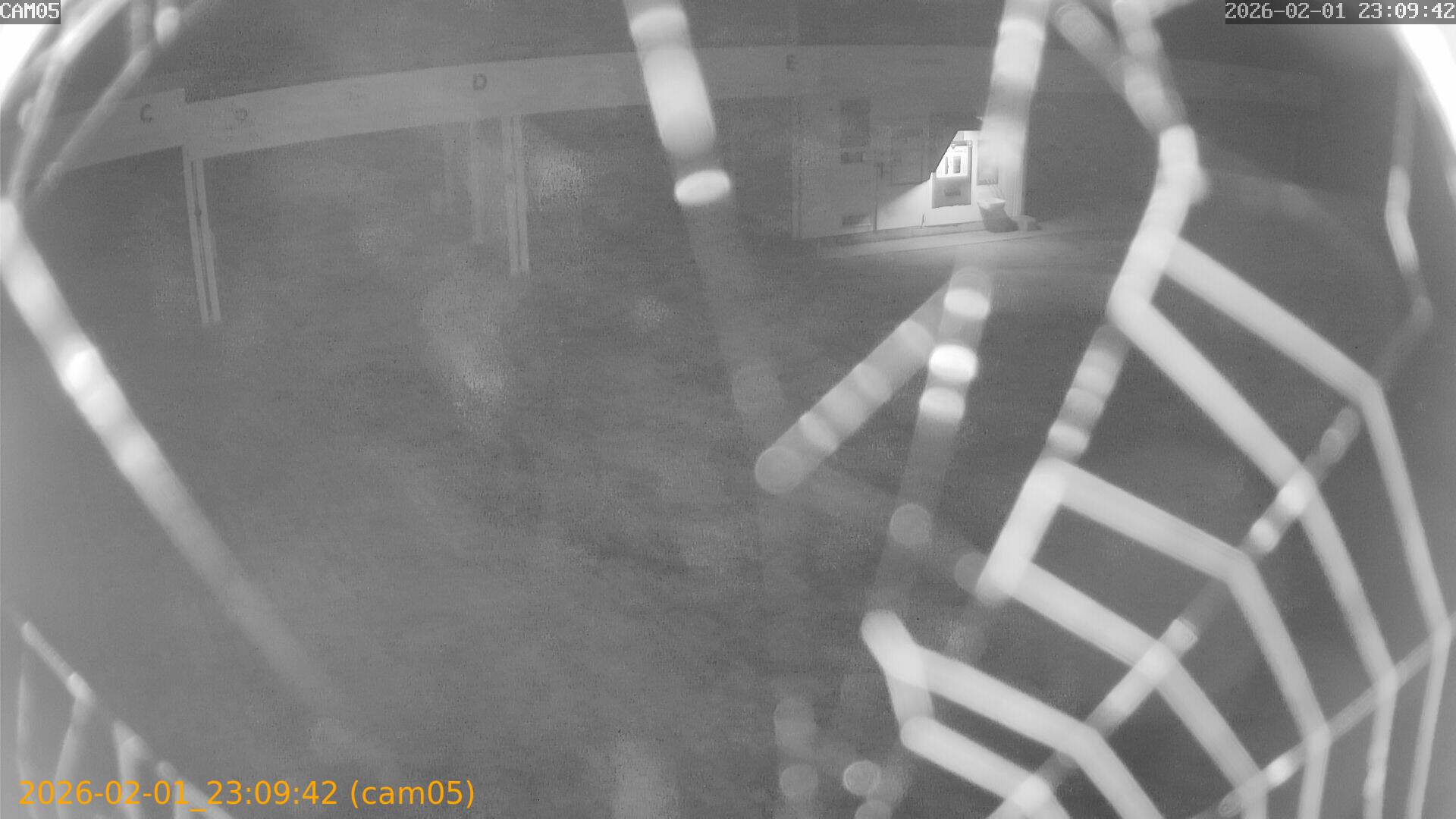 thumbnail_20260201230942