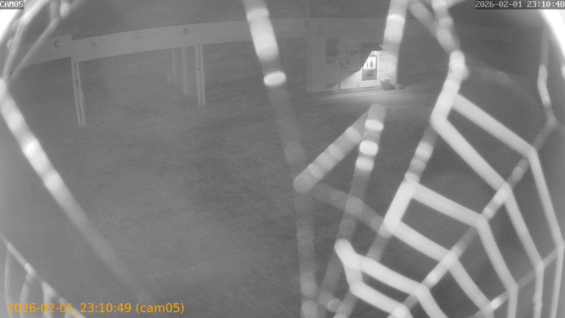 thumbnail_20260201231049