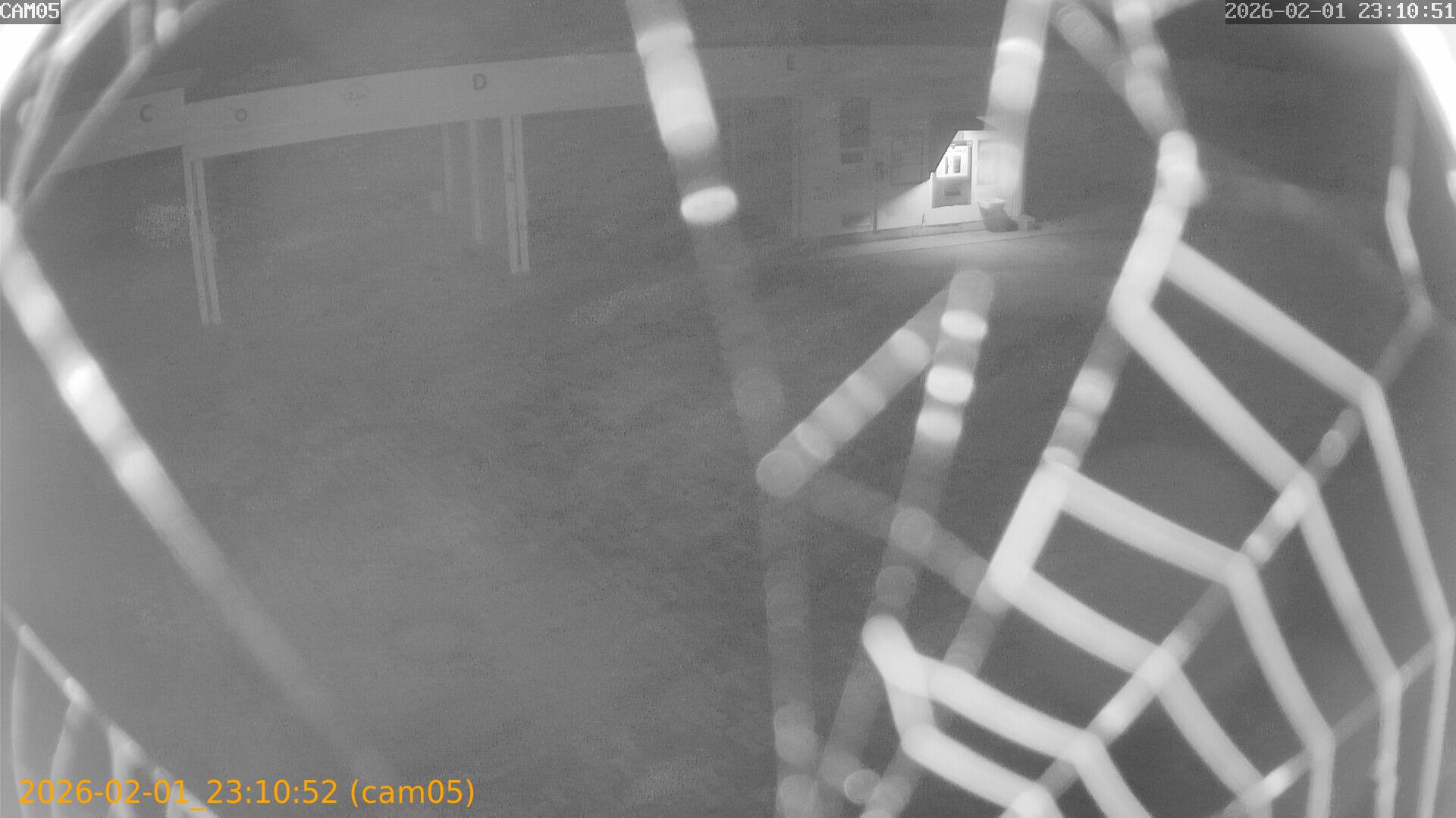 thumbnail_20260201231052