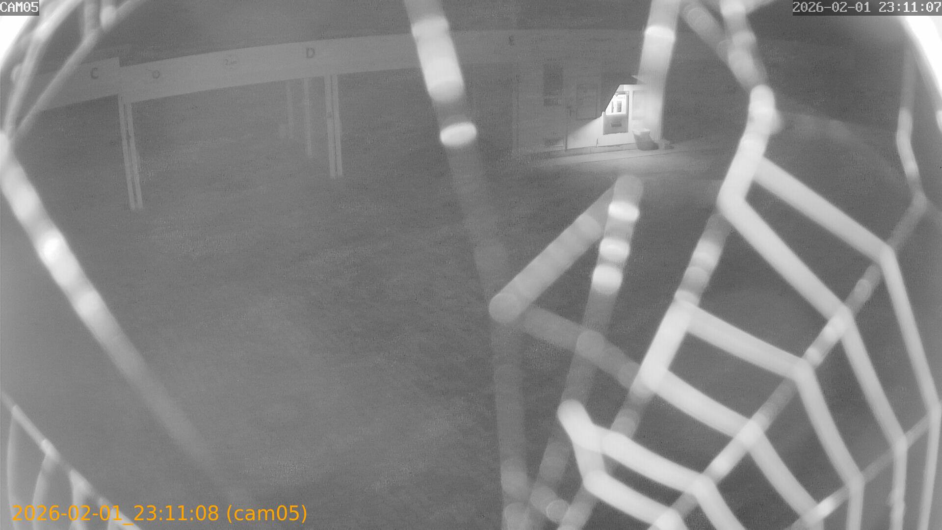 thumbnail_20260201231108