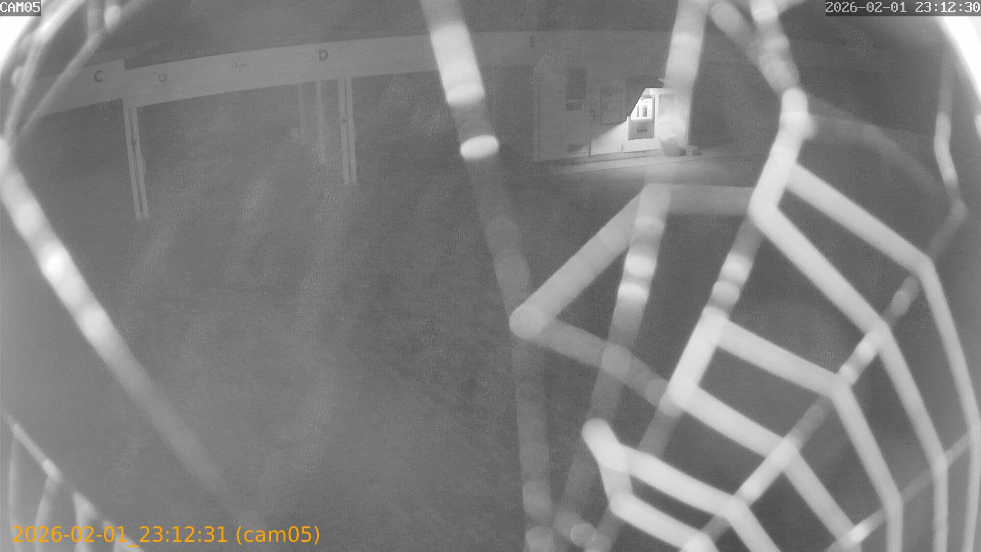 thumbnail_20260201231231