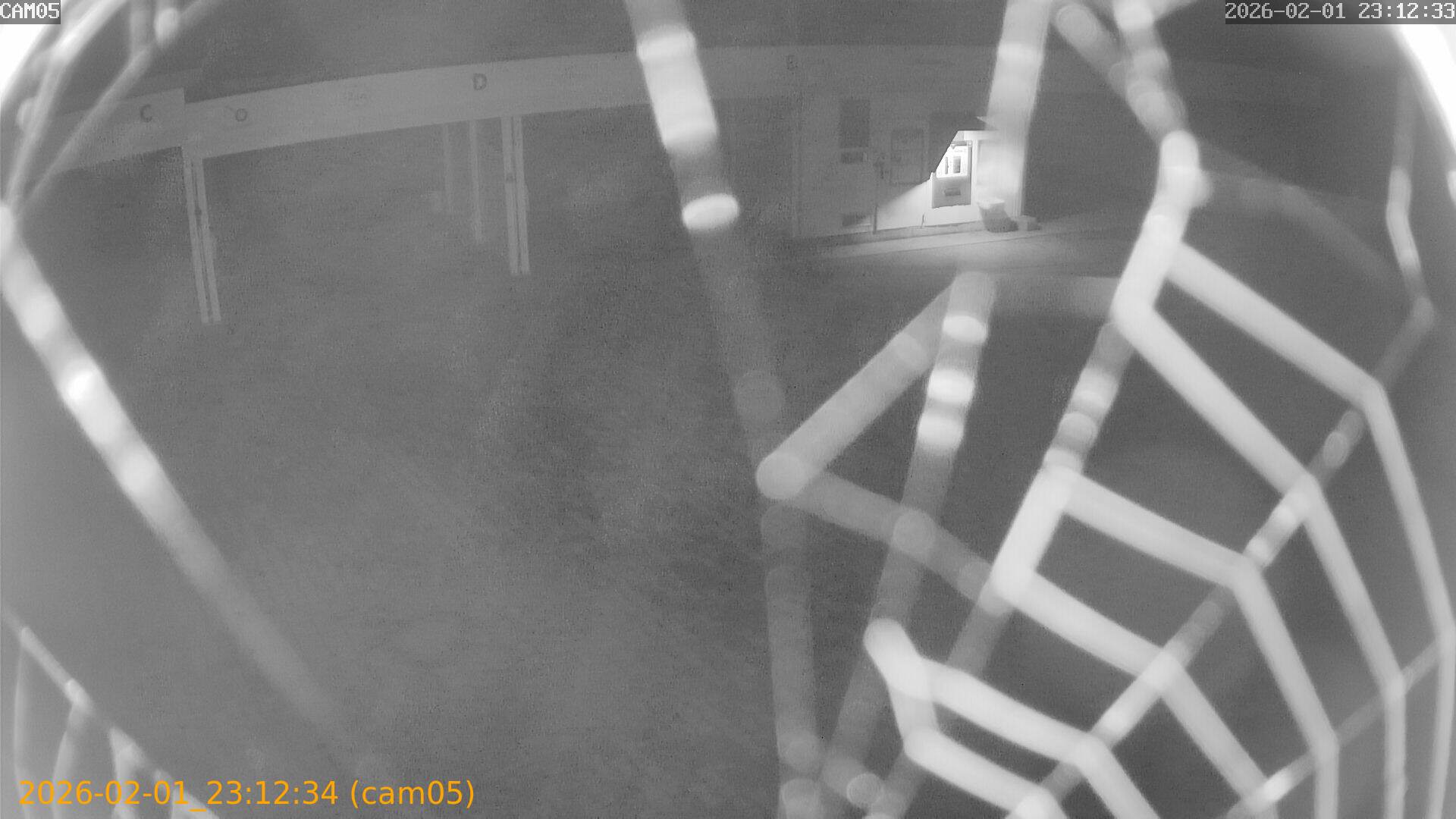 thumbnail_20260201231234