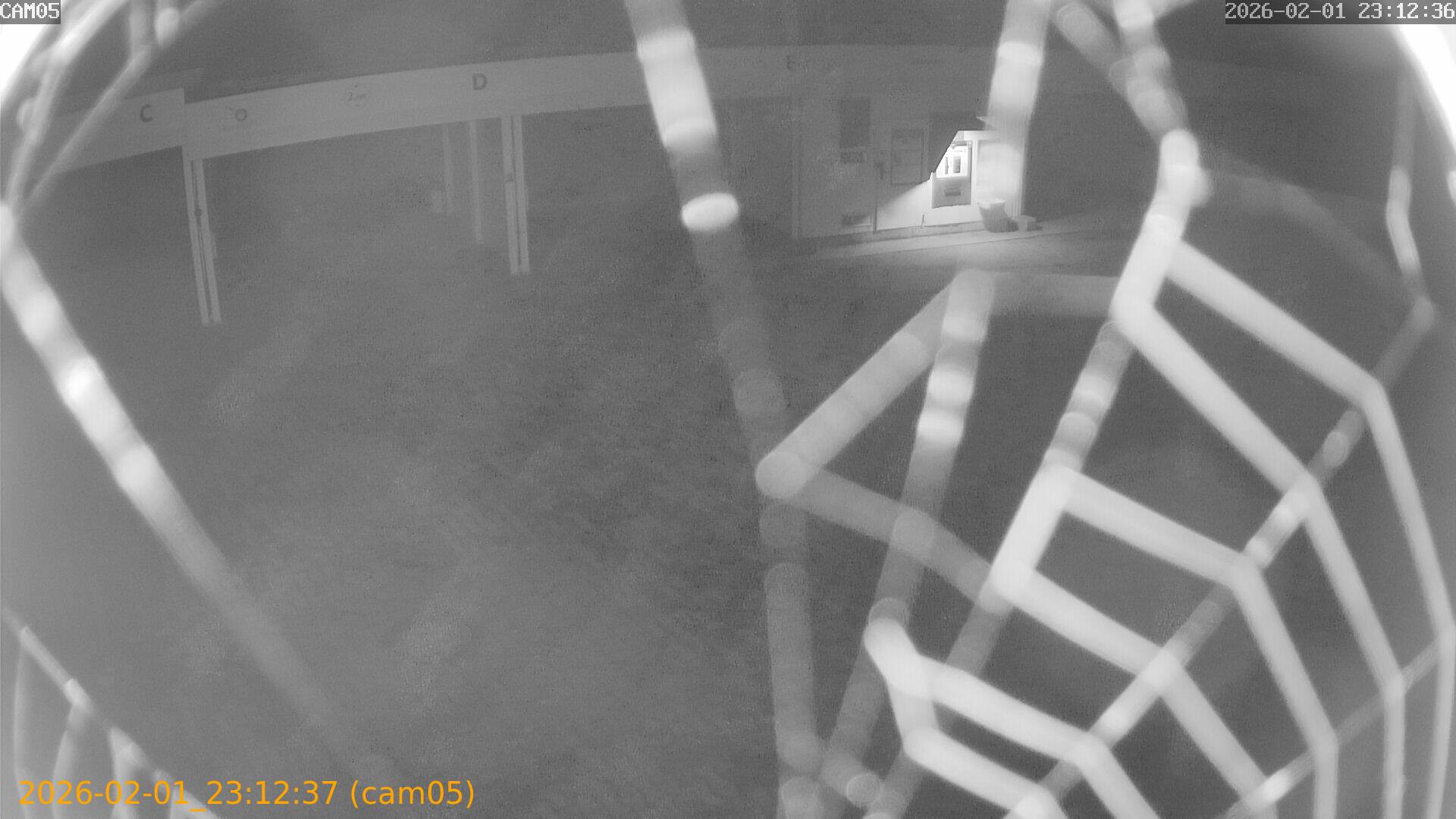 thumbnail_20260201231237