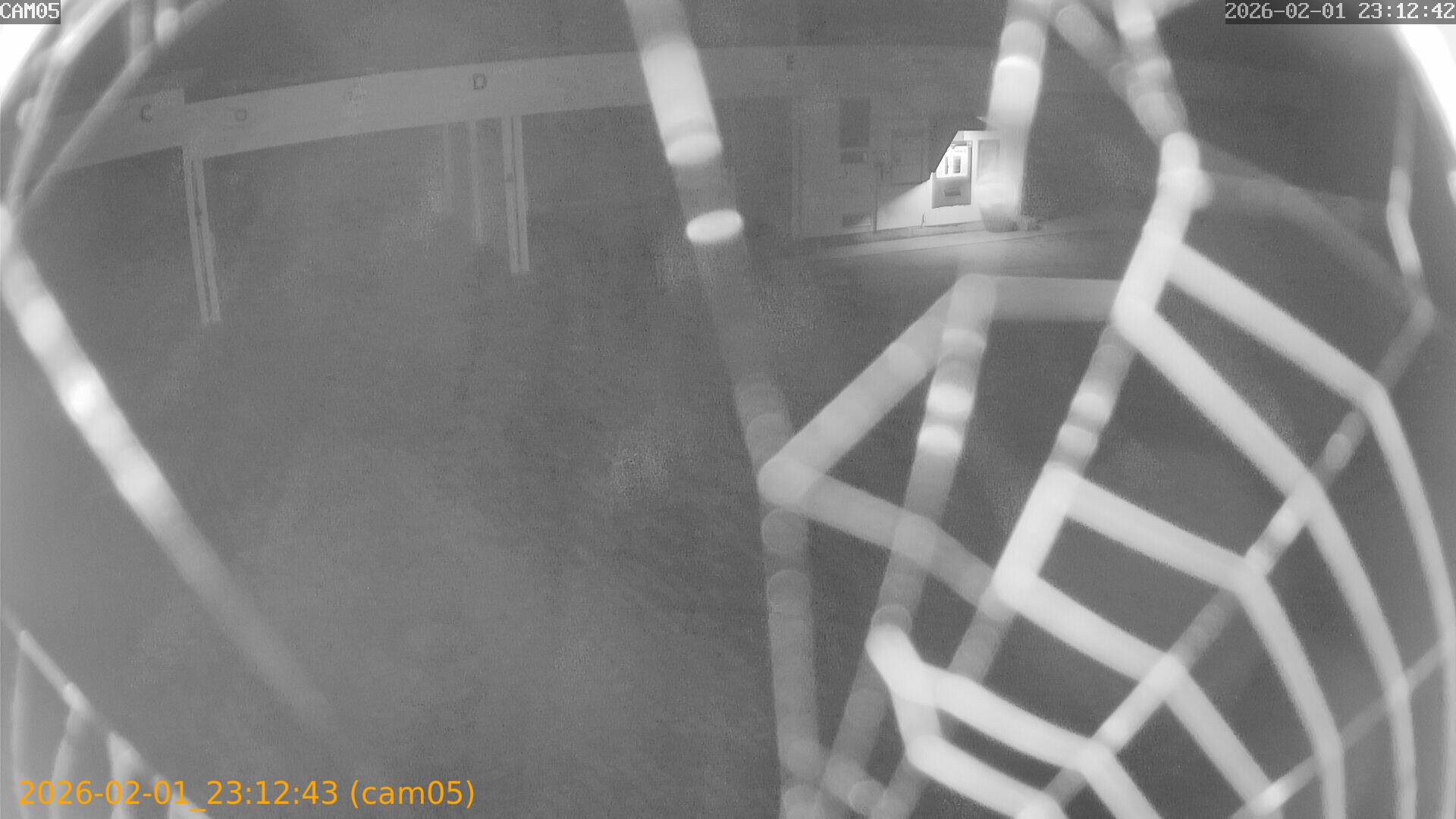 thumbnail_20260201231243