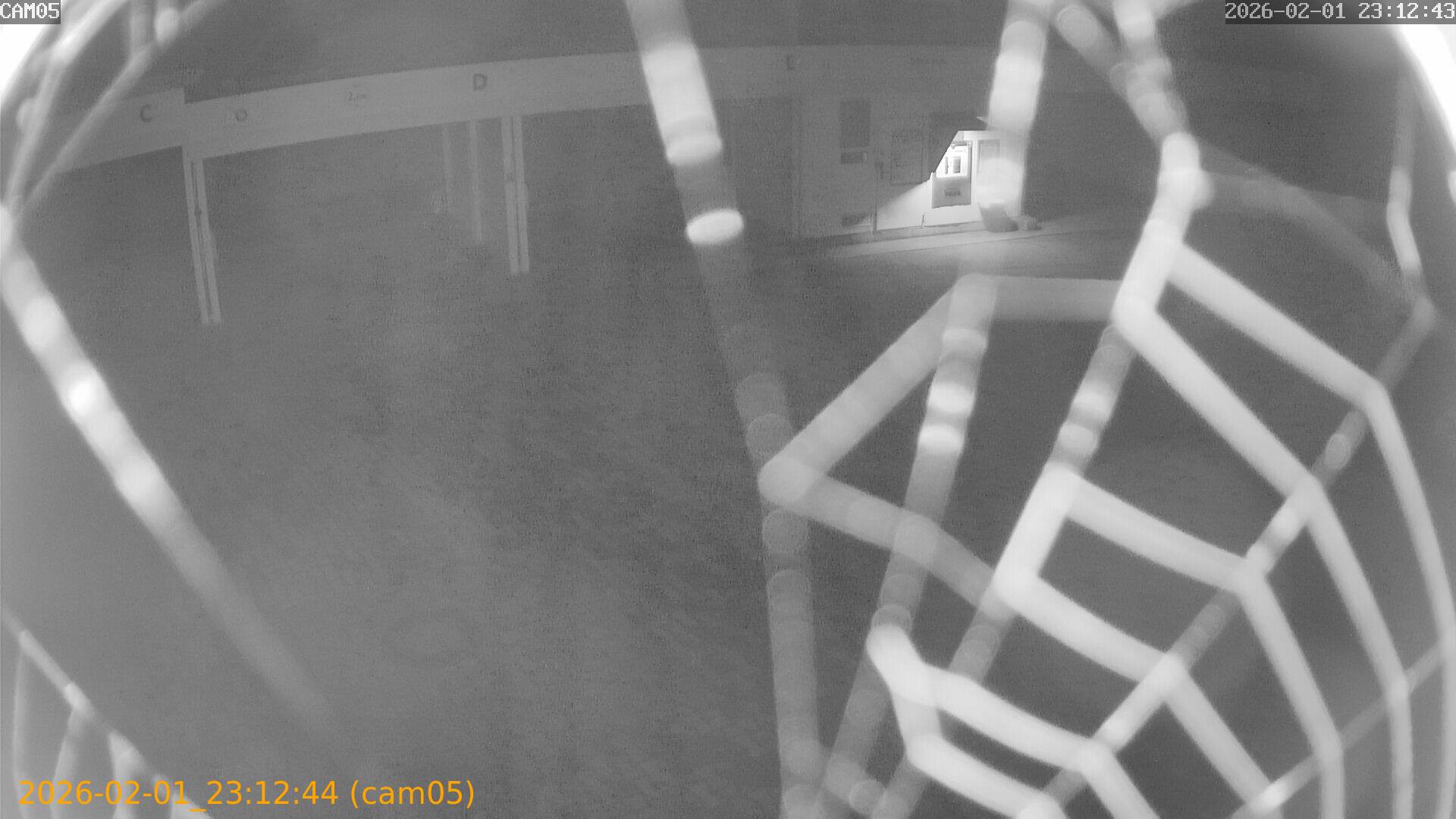 thumbnail_20260201231244