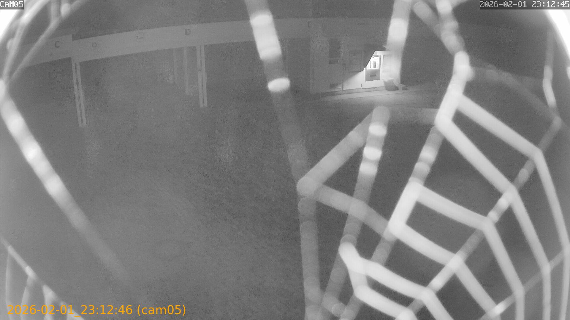 thumbnail_20260201231246