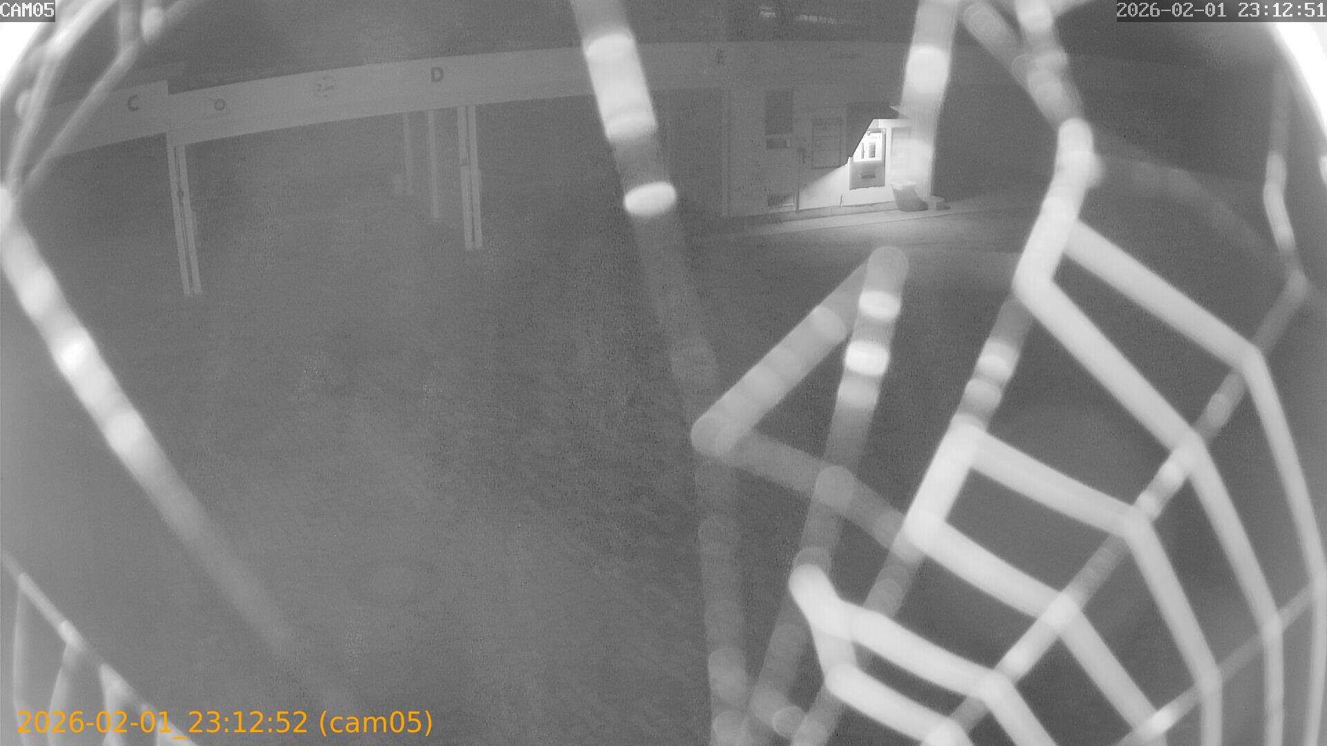 thumbnail_20260201231252