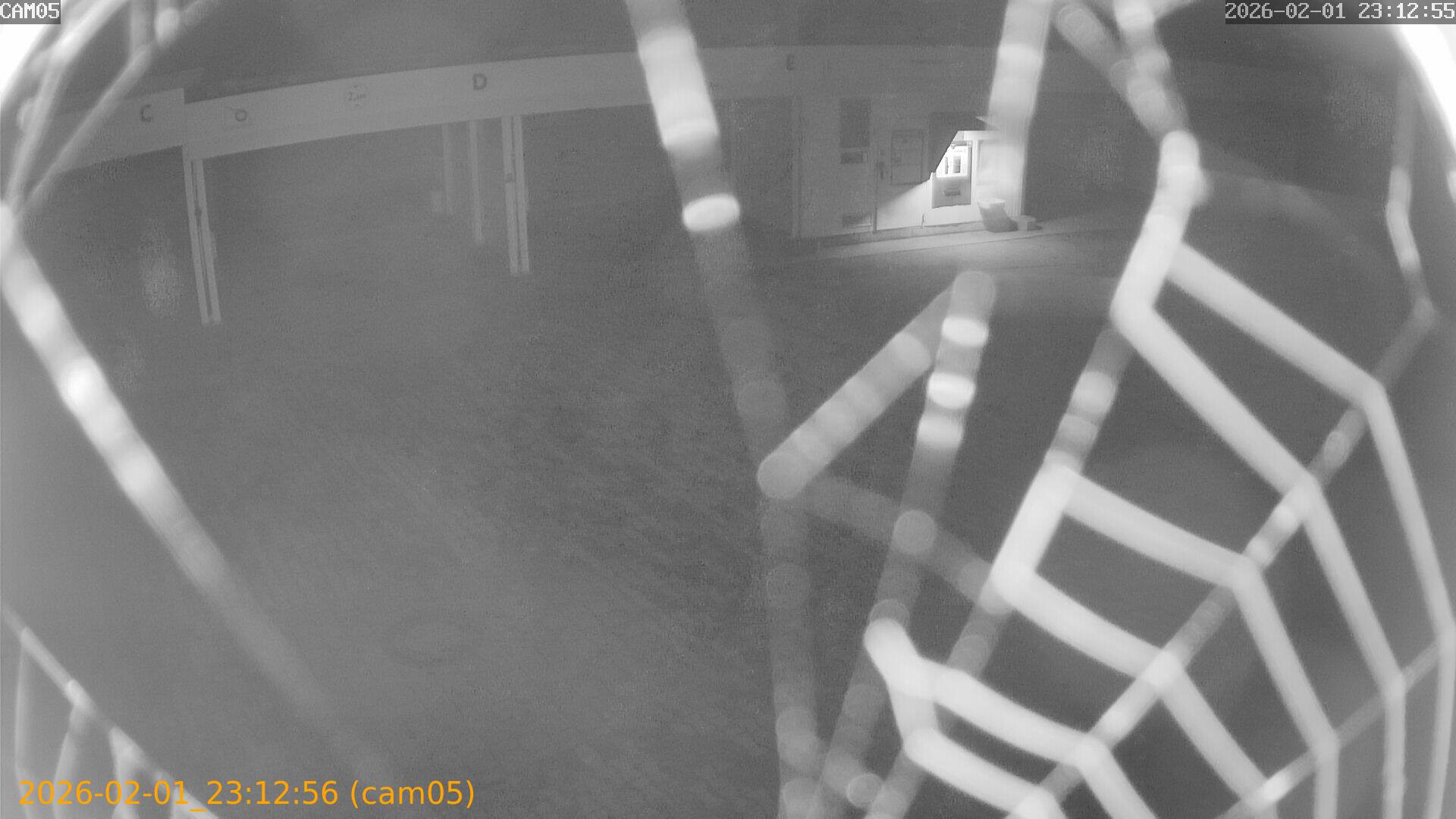 thumbnail_20260201231256