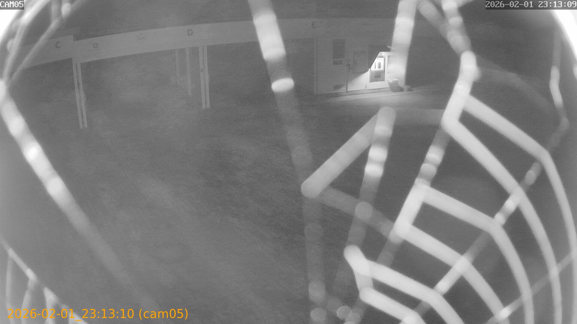 thumbnail_20260201231310