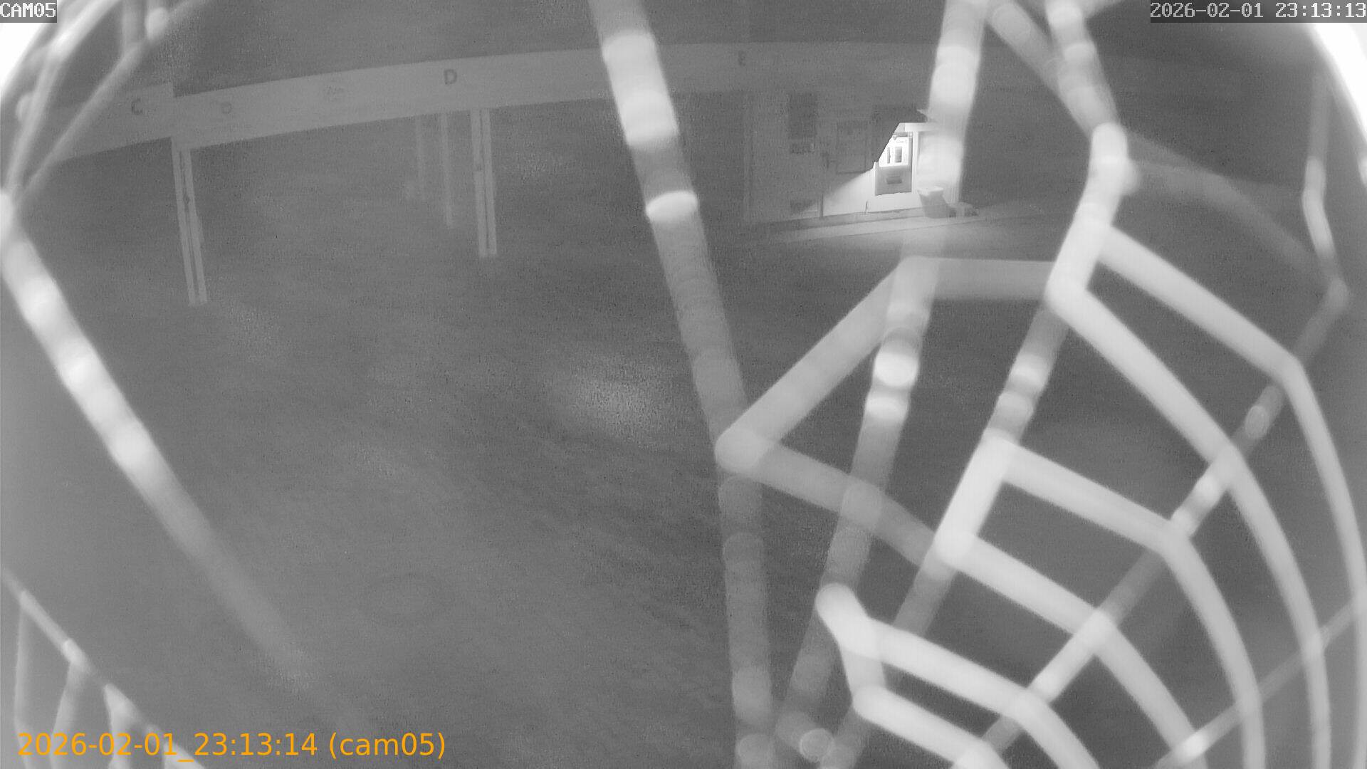 thumbnail_20260201231314