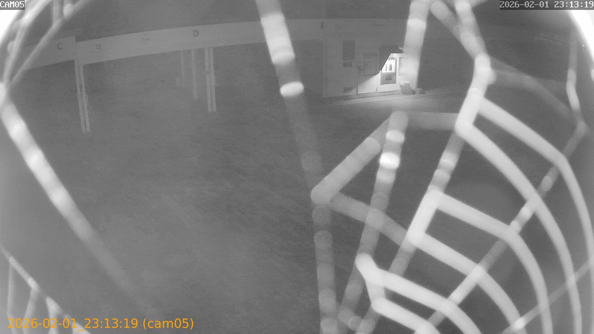 thumbnail_20260201231319