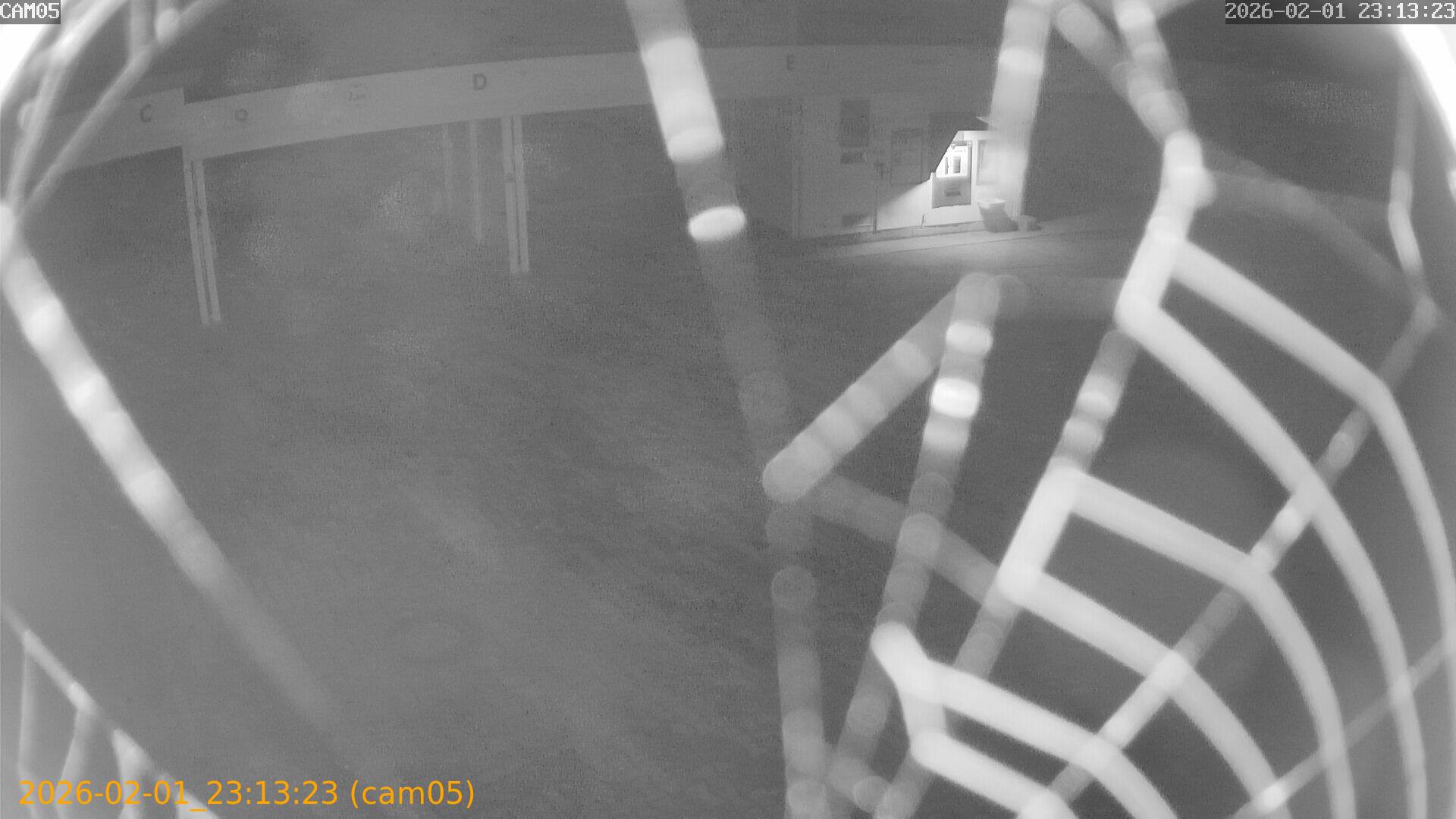 thumbnail_20260201231323