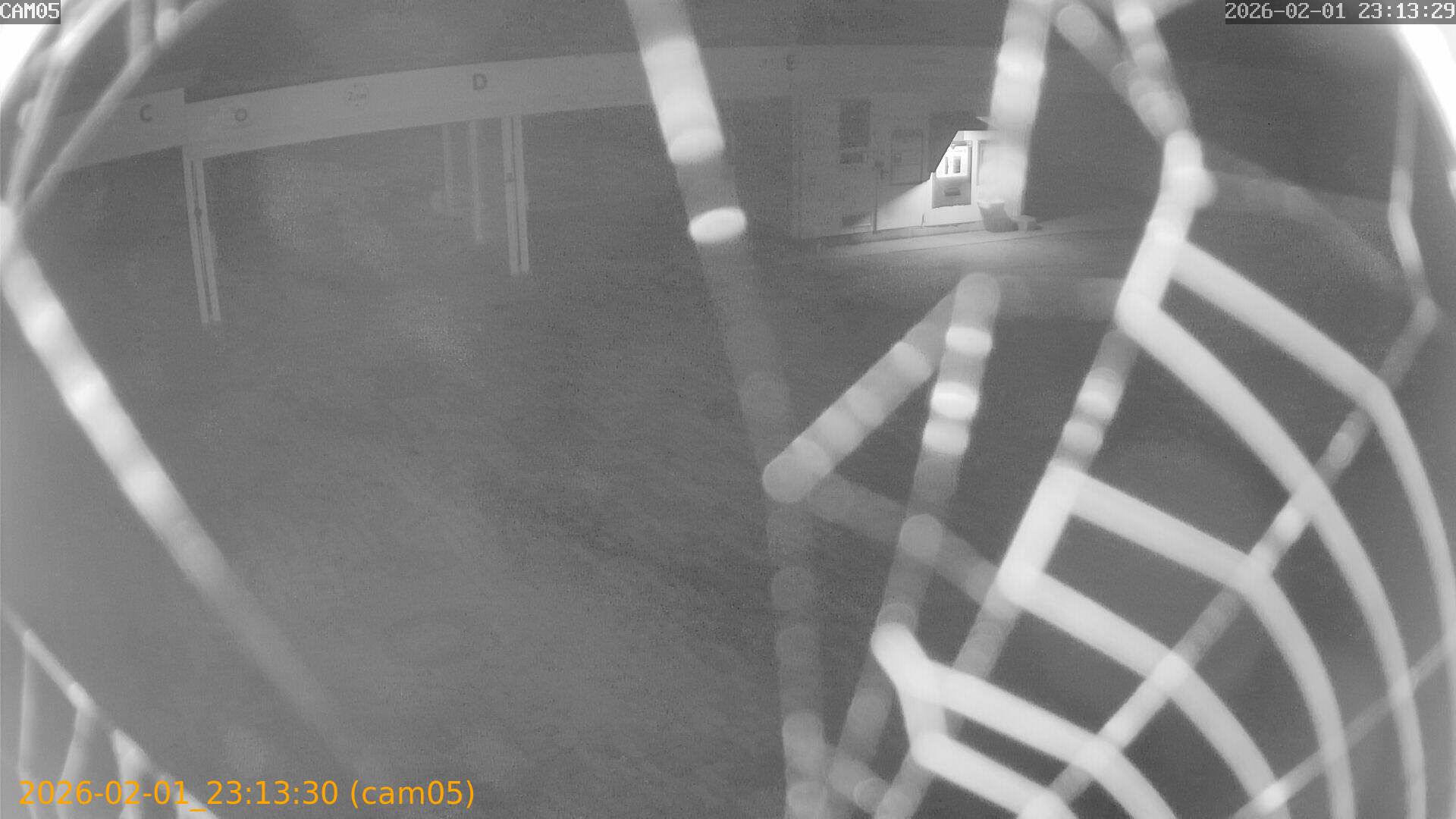 thumbnail_20260201231330