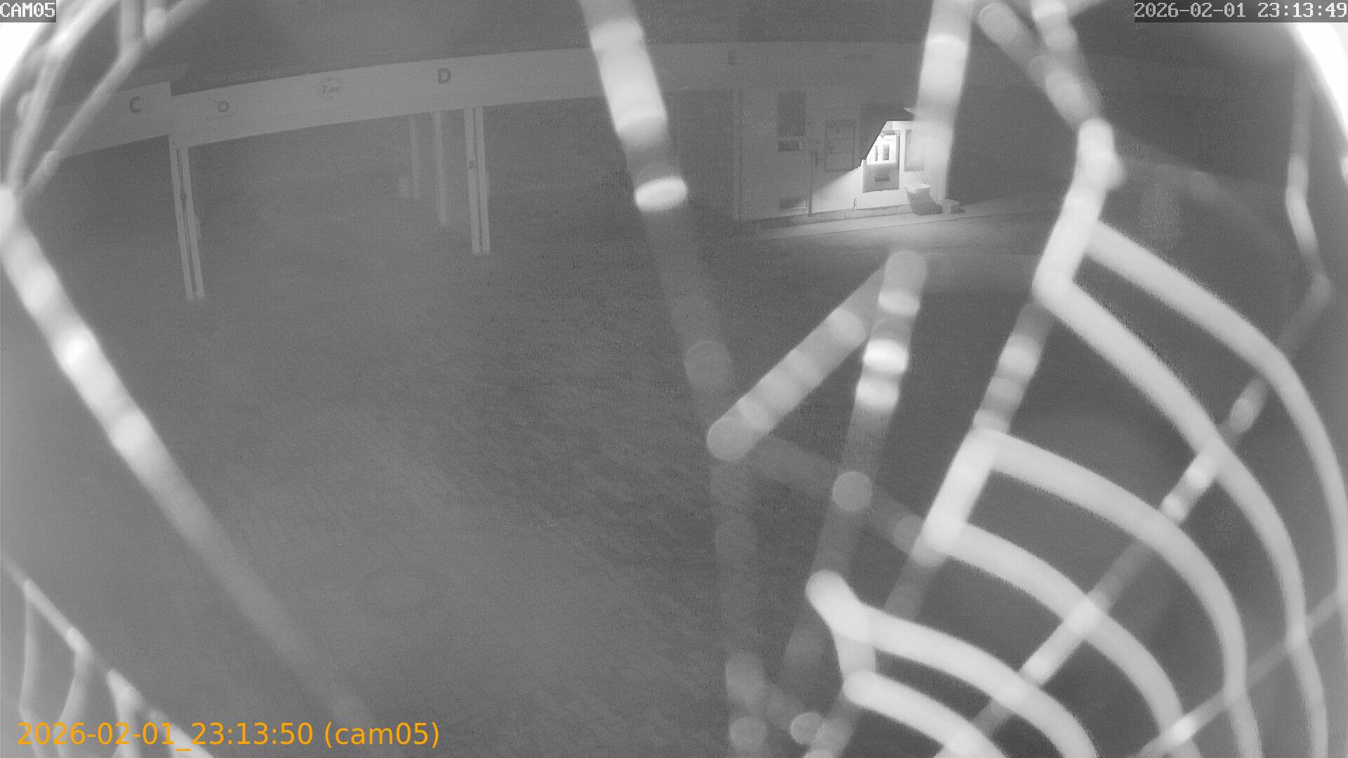 thumbnail_20260201231350