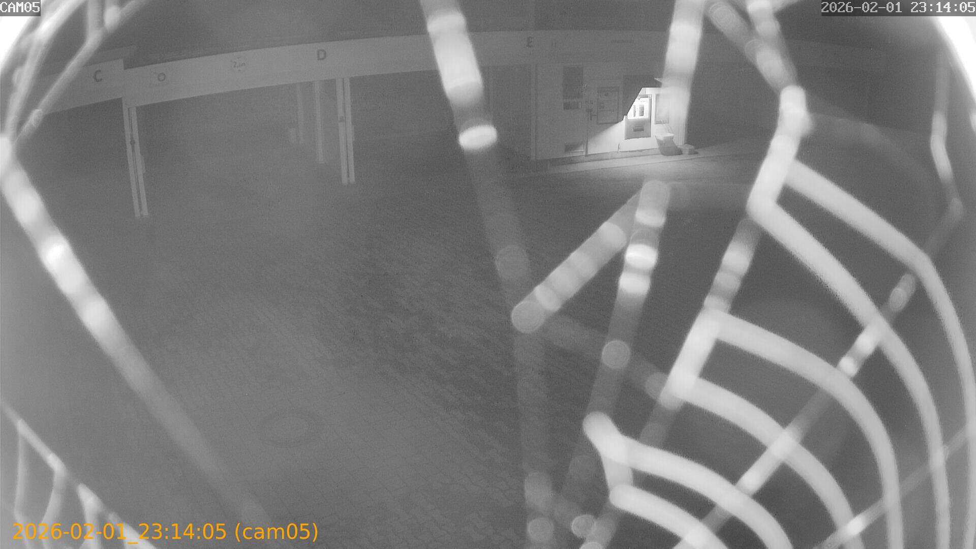 thumbnail_20260201231405