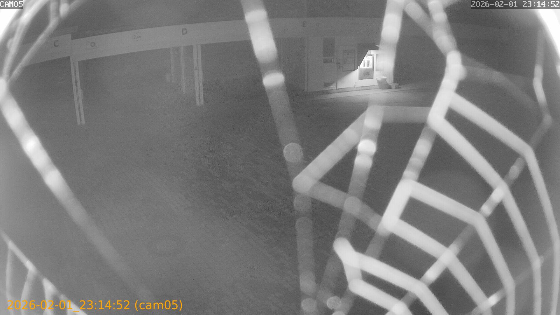 thumbnail_20260201231452