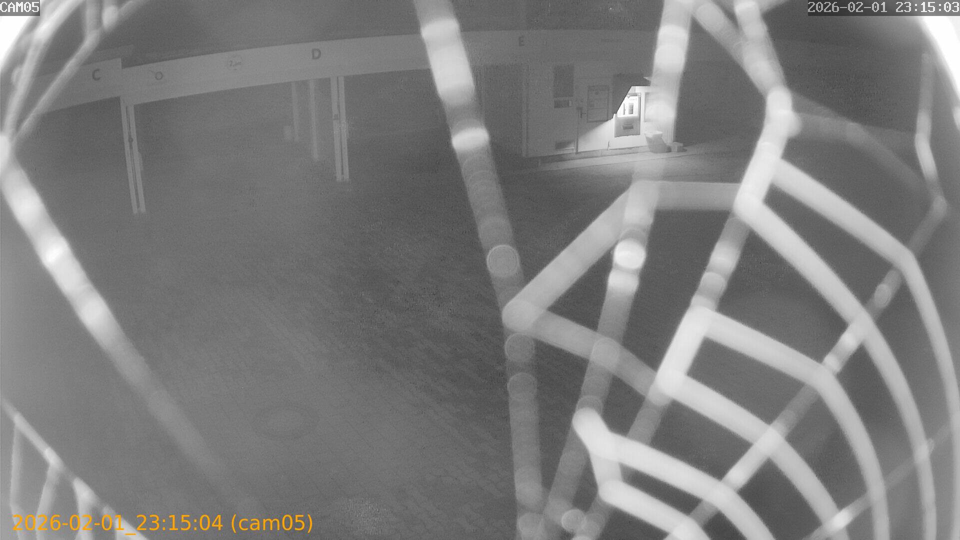 thumbnail_20260201231504