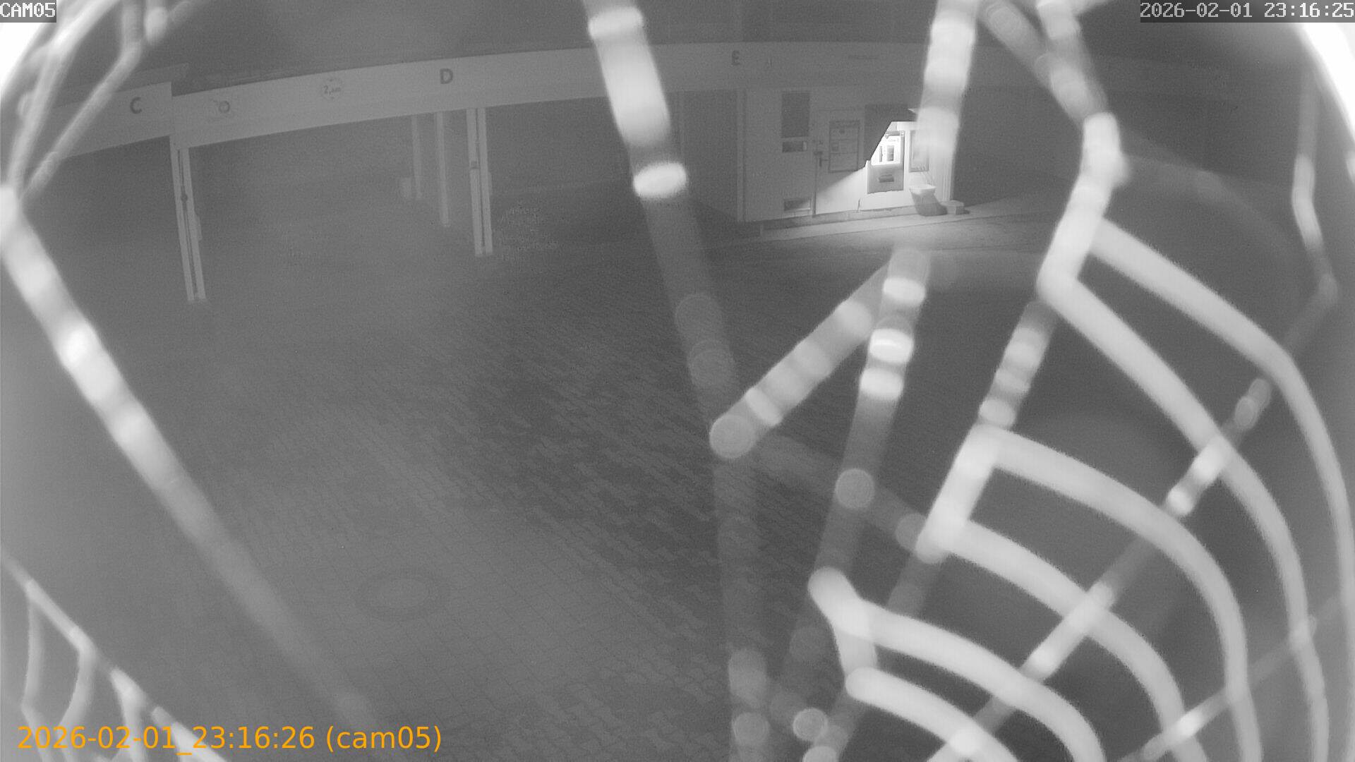 thumbnail_20260201231626