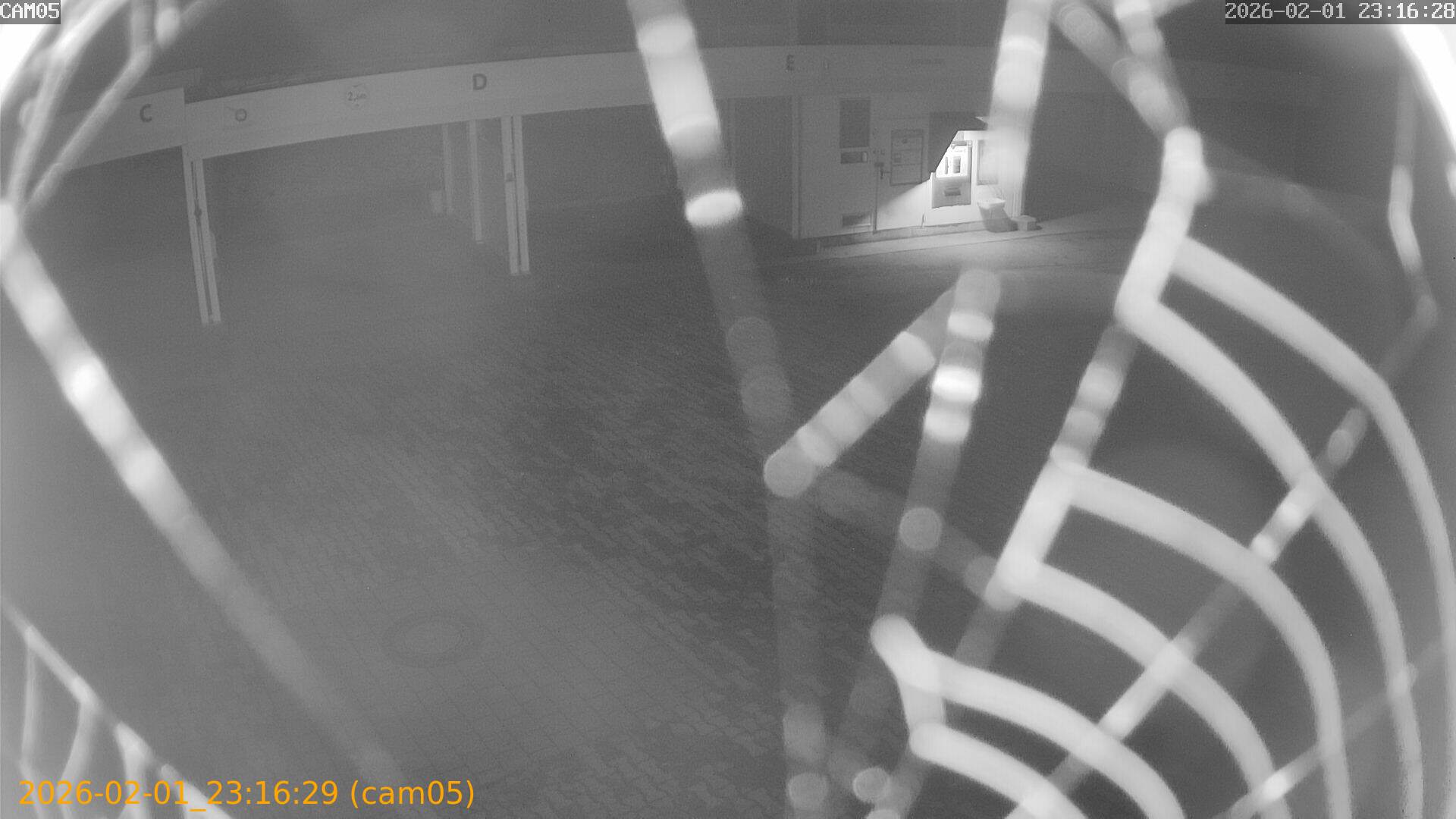 thumbnail_20260201231629