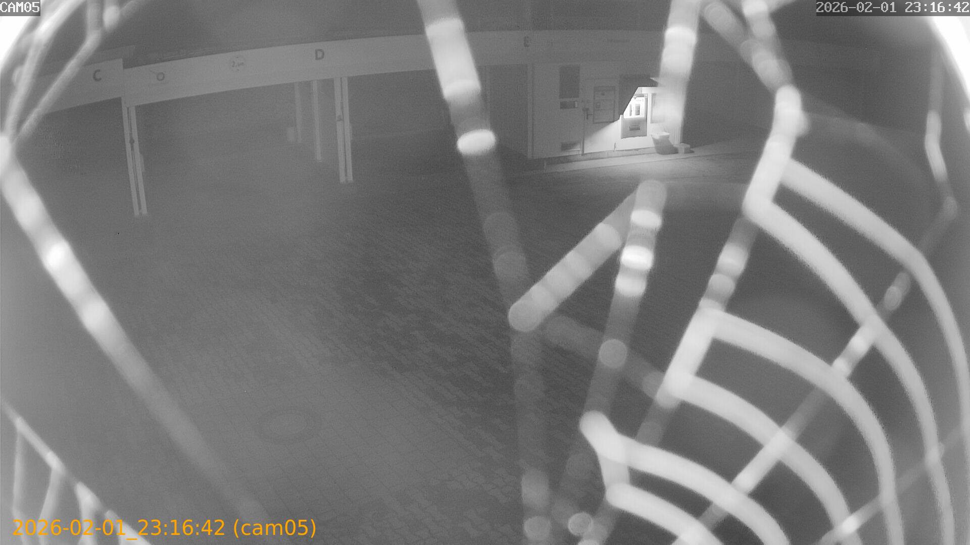 thumbnail_20260201231642