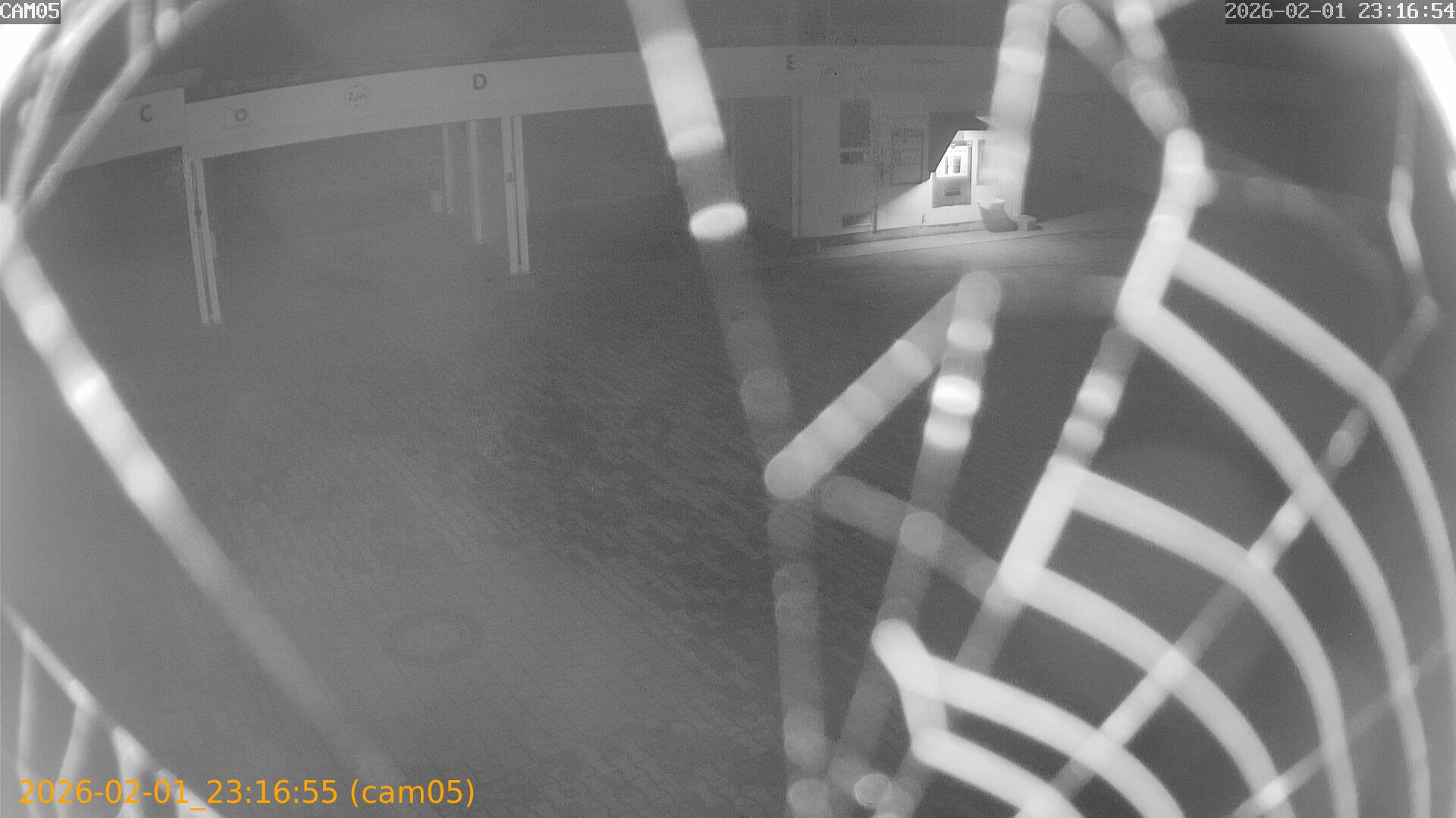 thumbnail_20260201231655