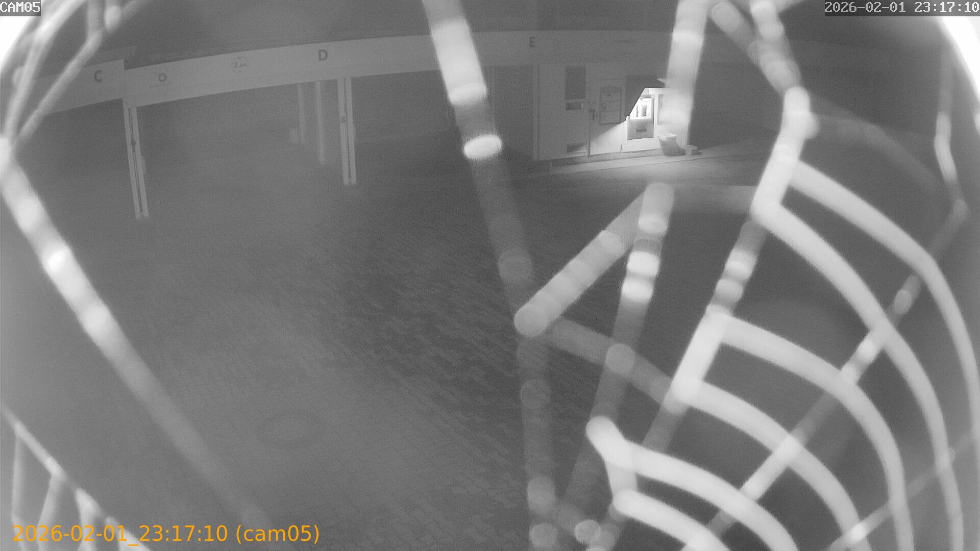 thumbnail_20260201231710