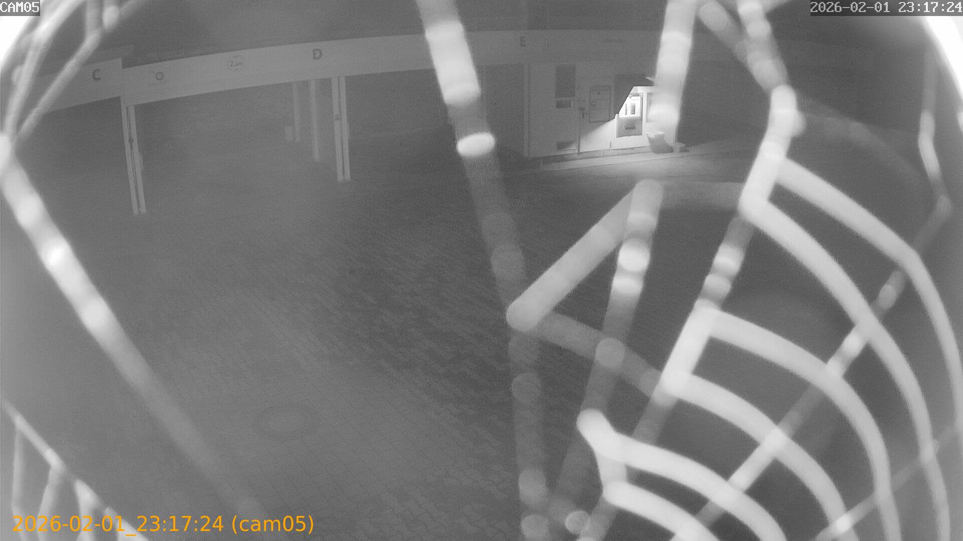 thumbnail_20260201231724