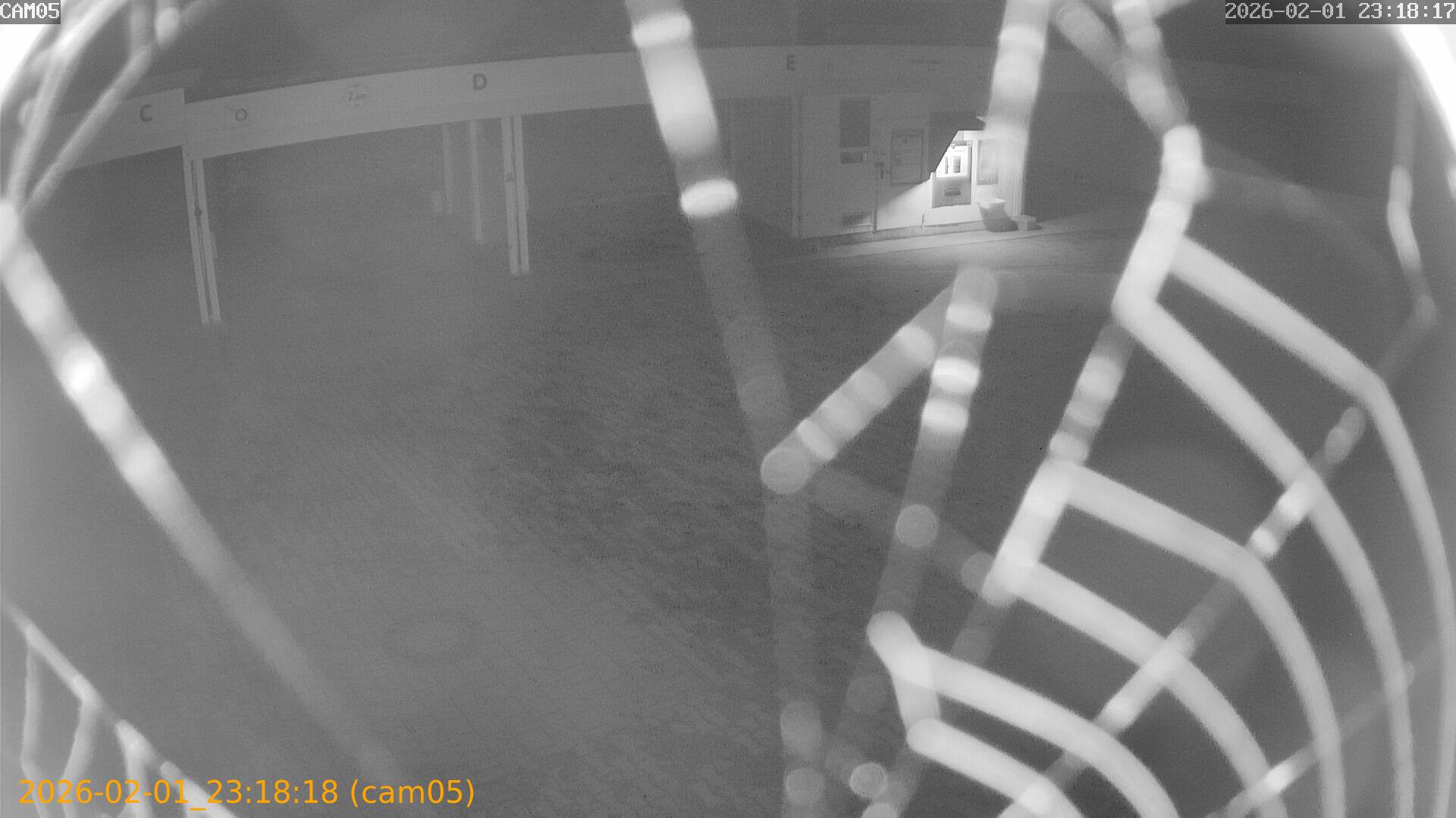 thumbnail_20260201231818