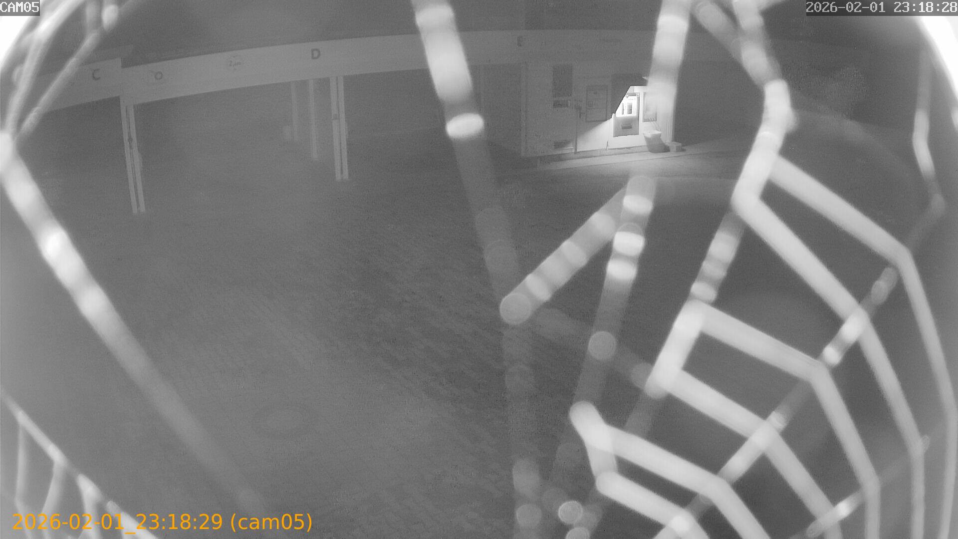 thumbnail_20260201231829