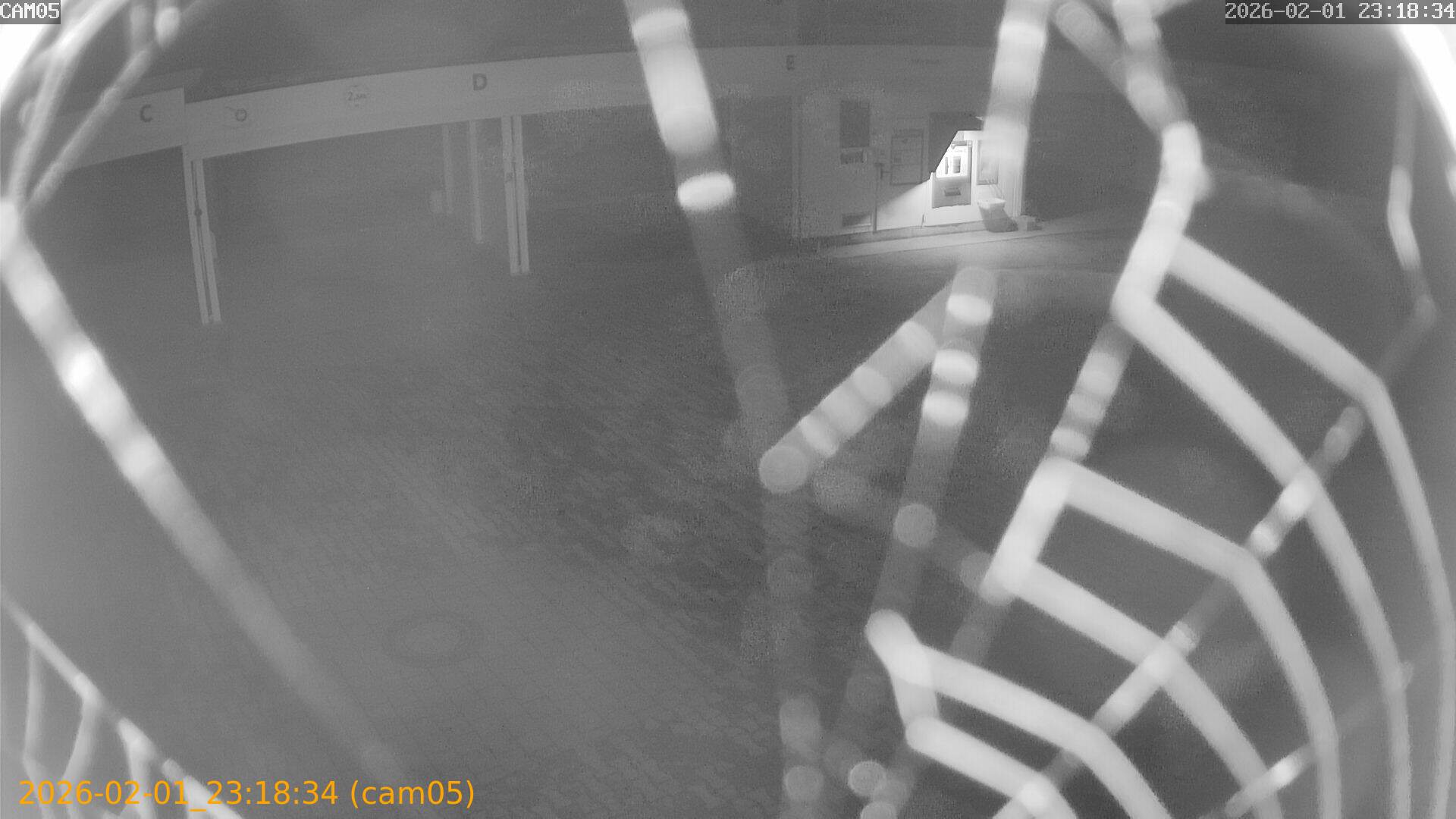 thumbnail_20260201231834