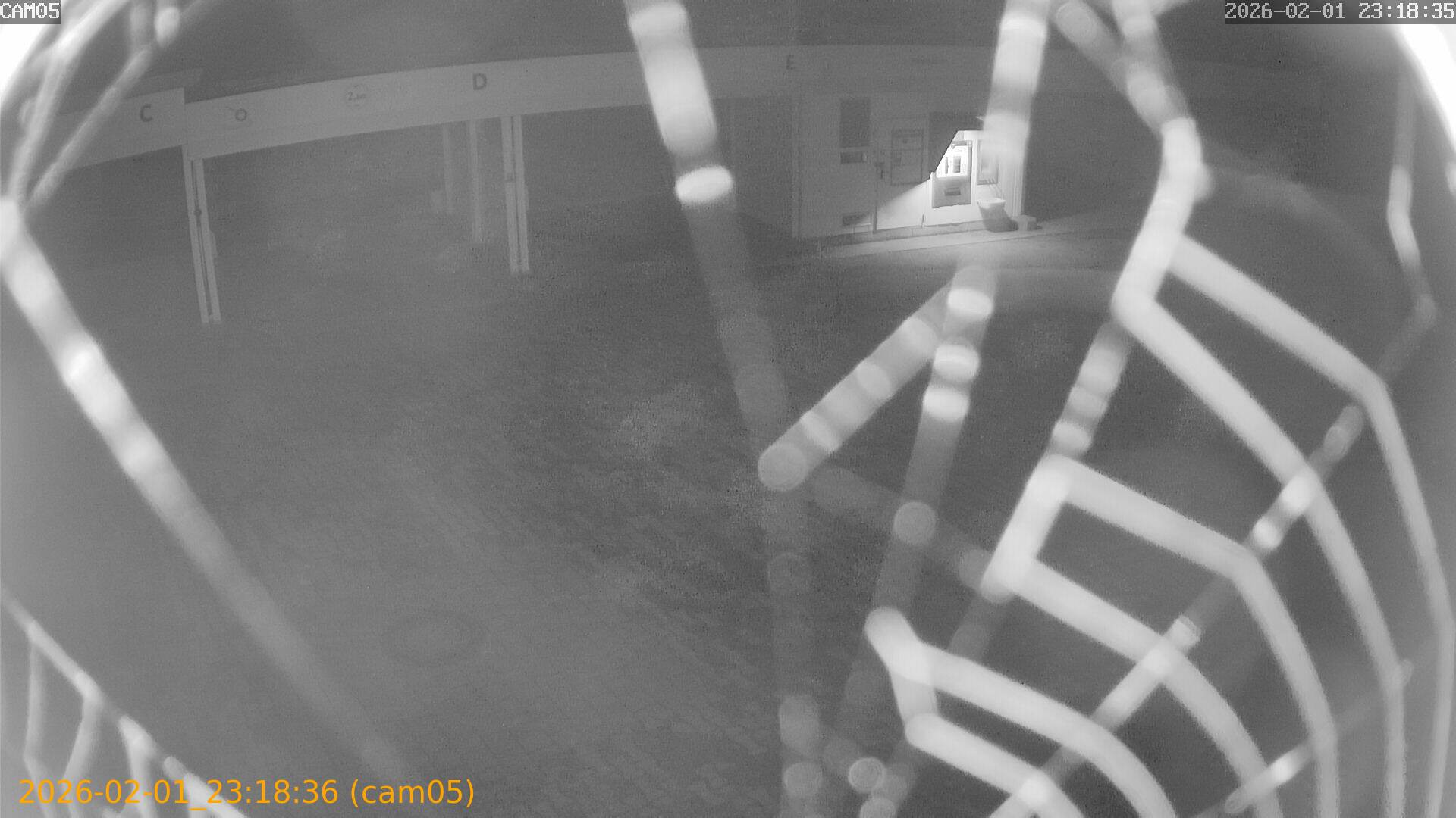 thumbnail_20260201231836