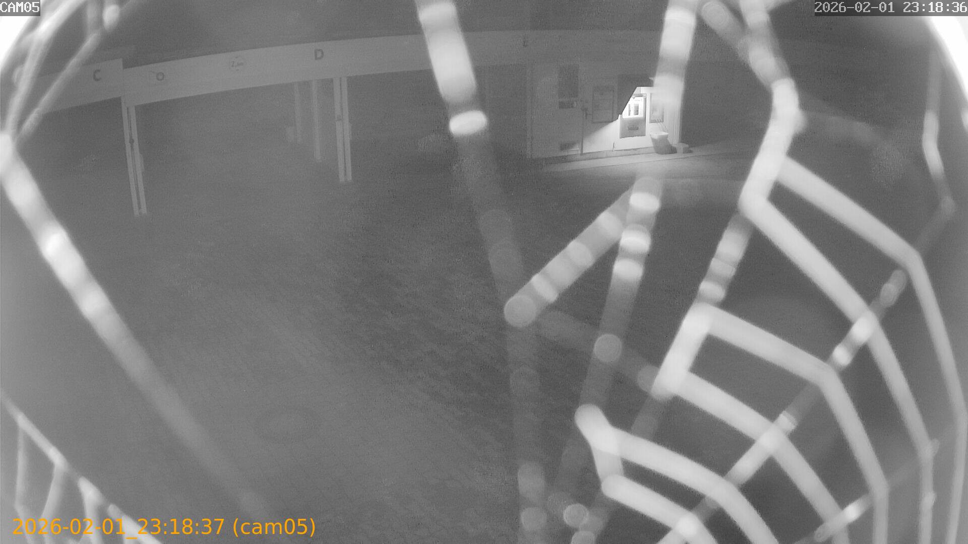 thumbnail_20260201231837