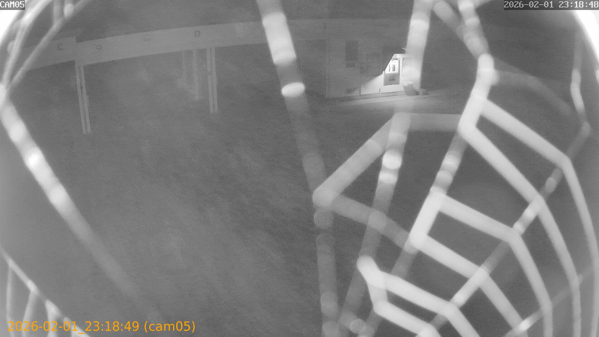 thumbnail_20260201231849