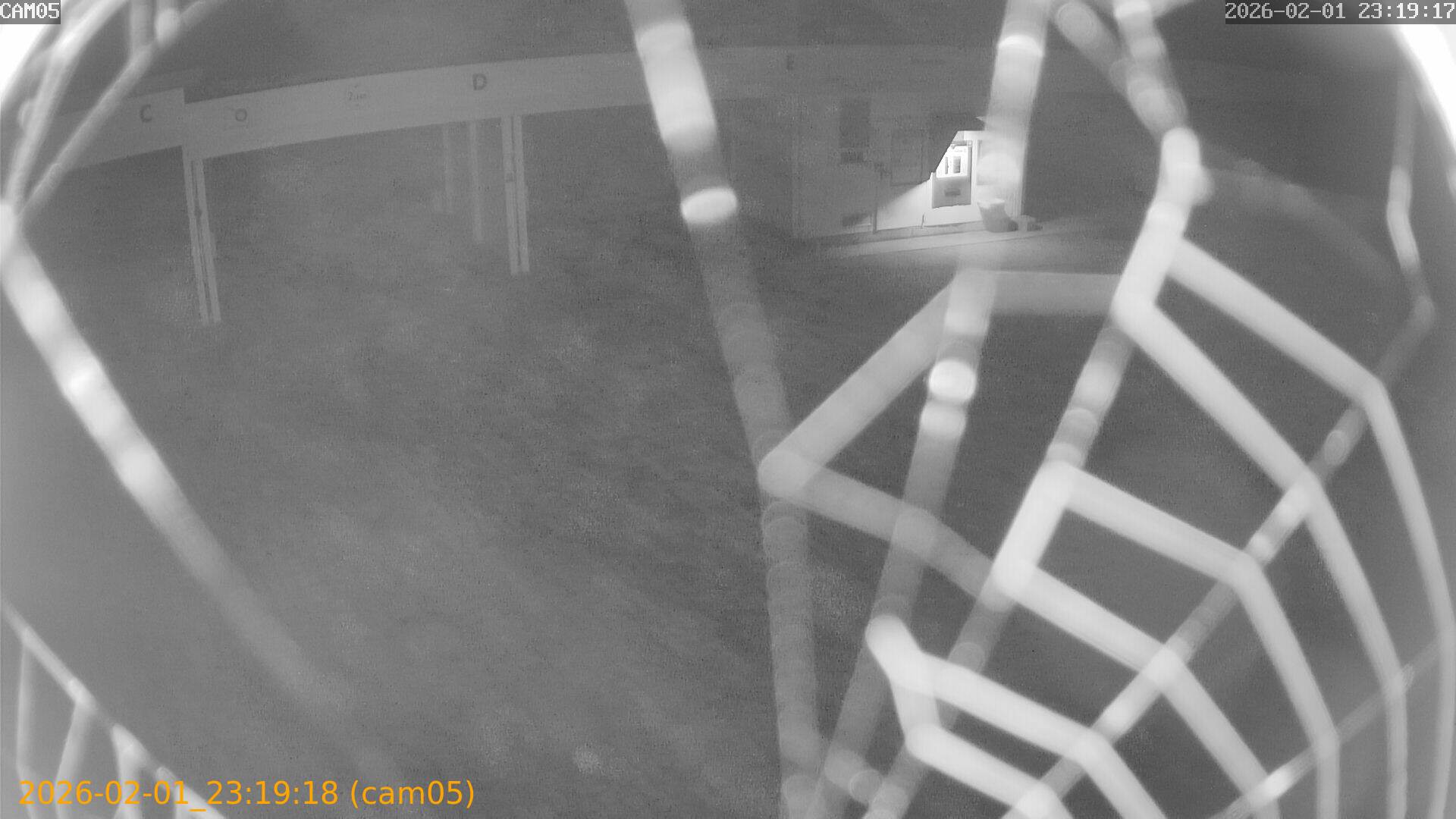 thumbnail_20260201231918