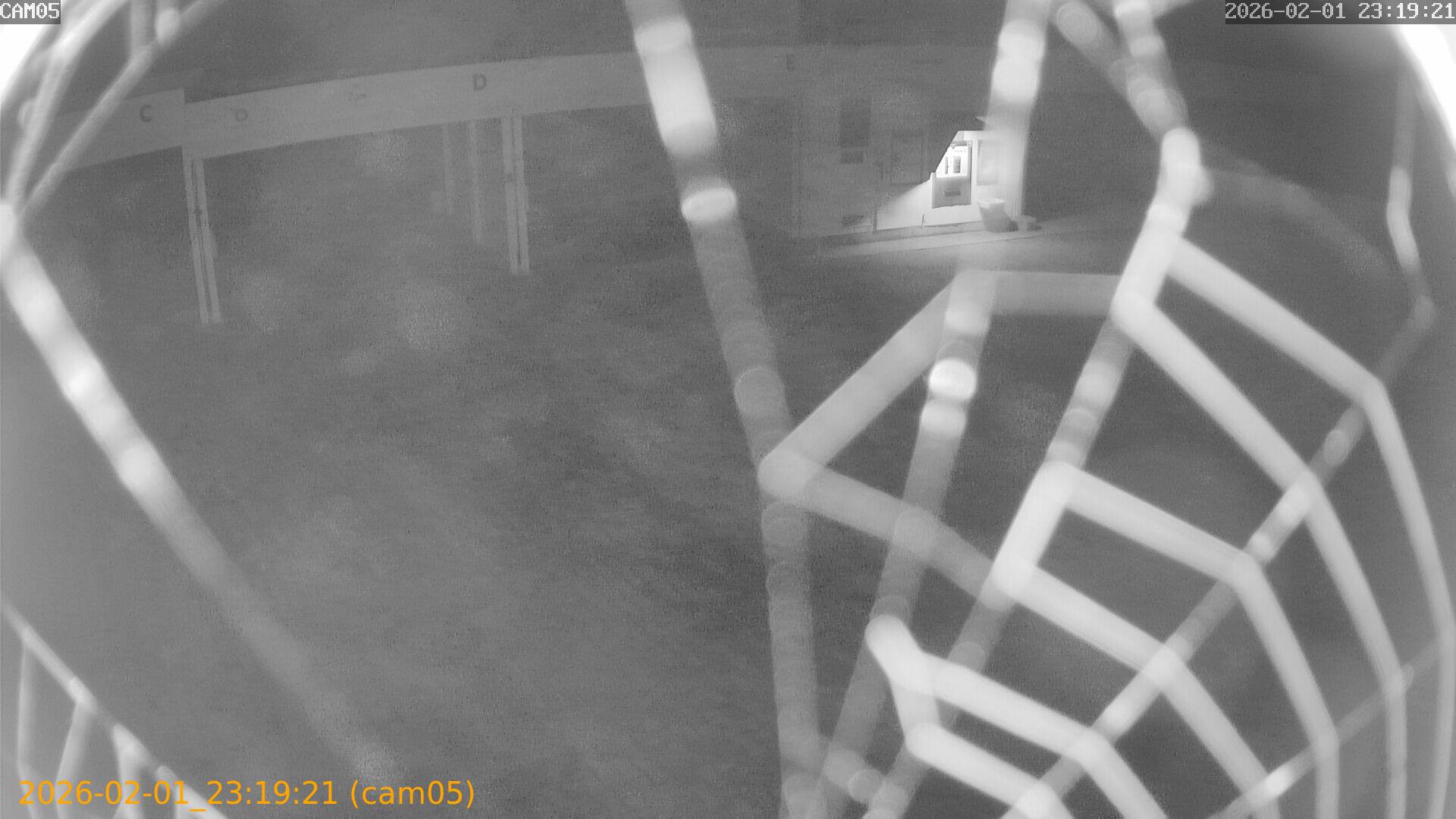 thumbnail_20260201231921