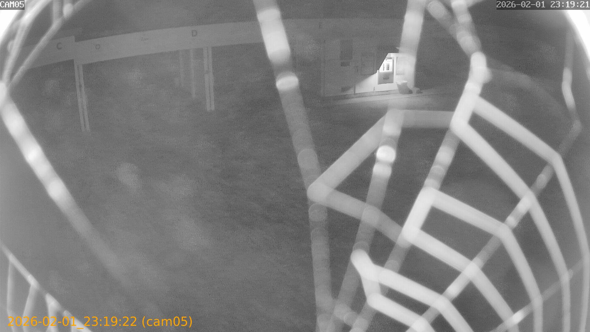 thumbnail_20260201231922