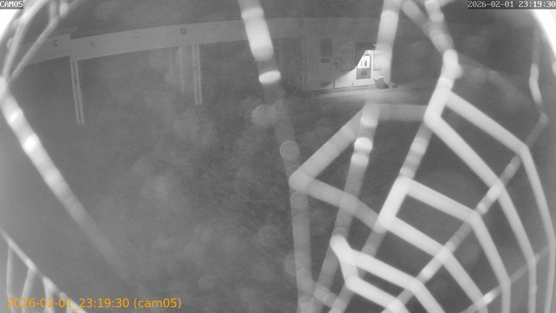 thumbnail_20260201231930