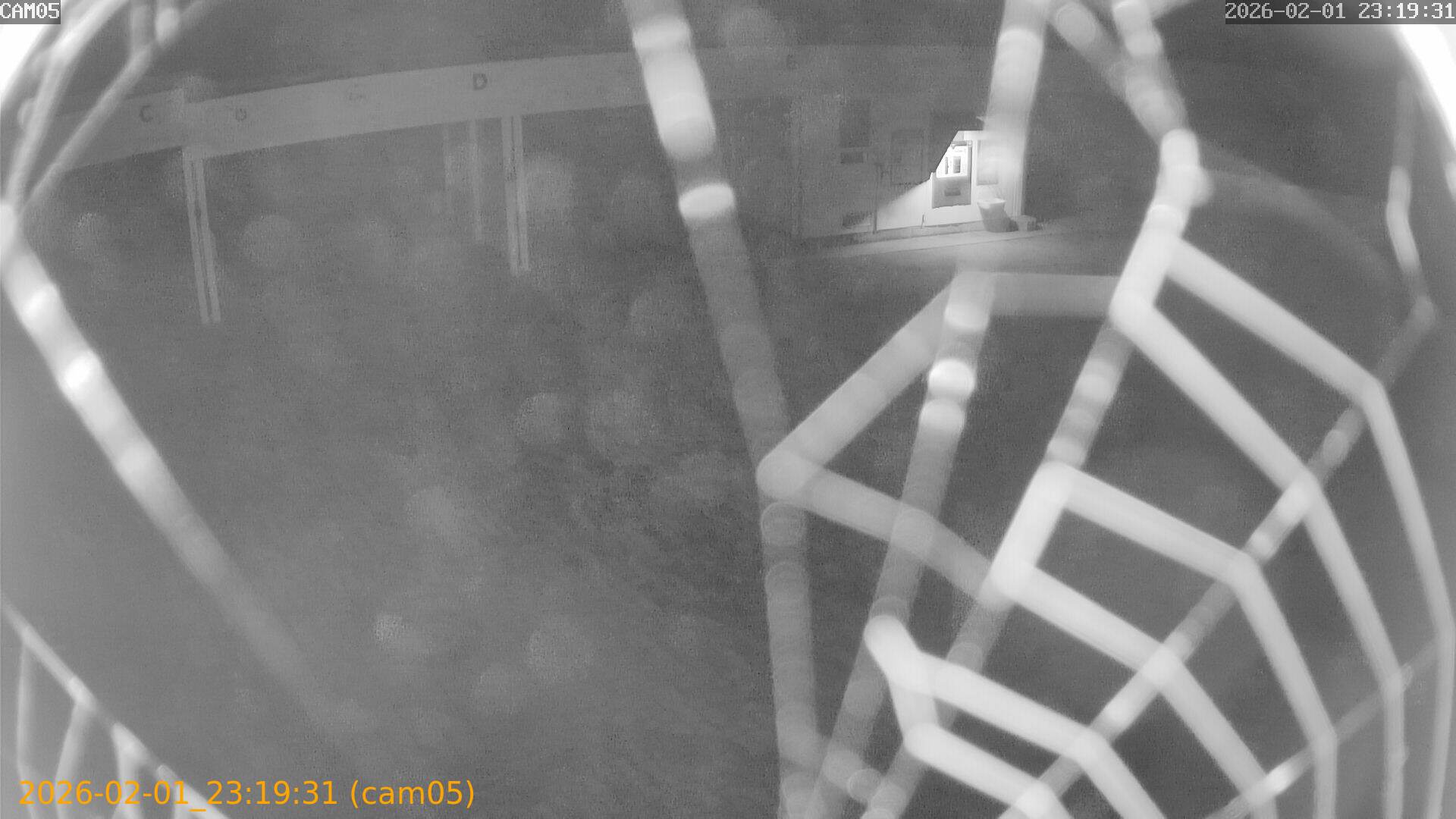 thumbnail_20260201231931