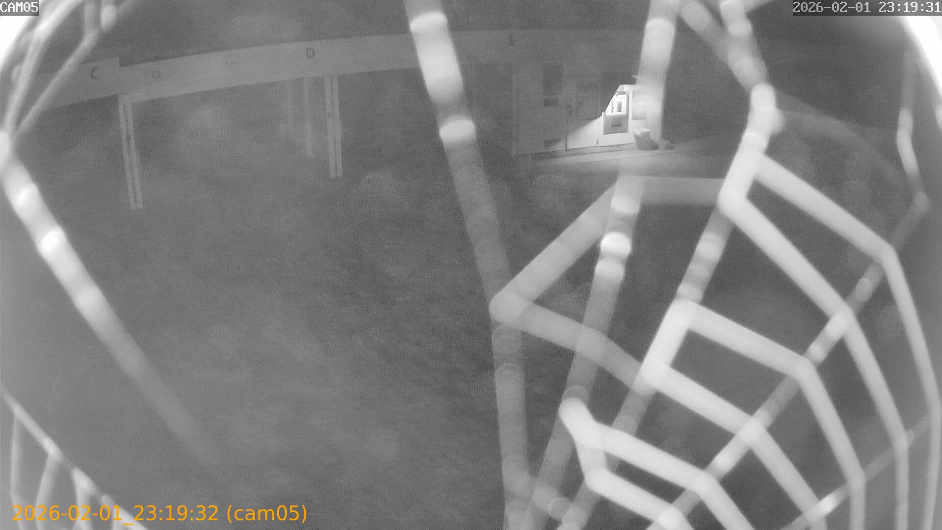 thumbnail_20260201231932