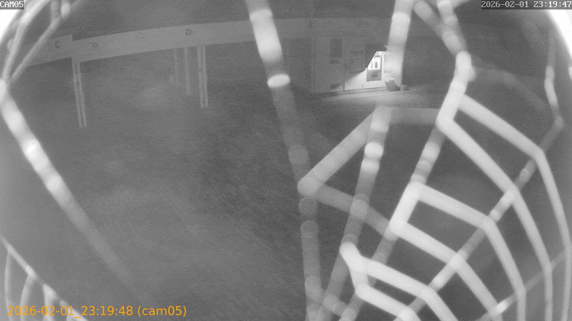 thumbnail_20260201231948