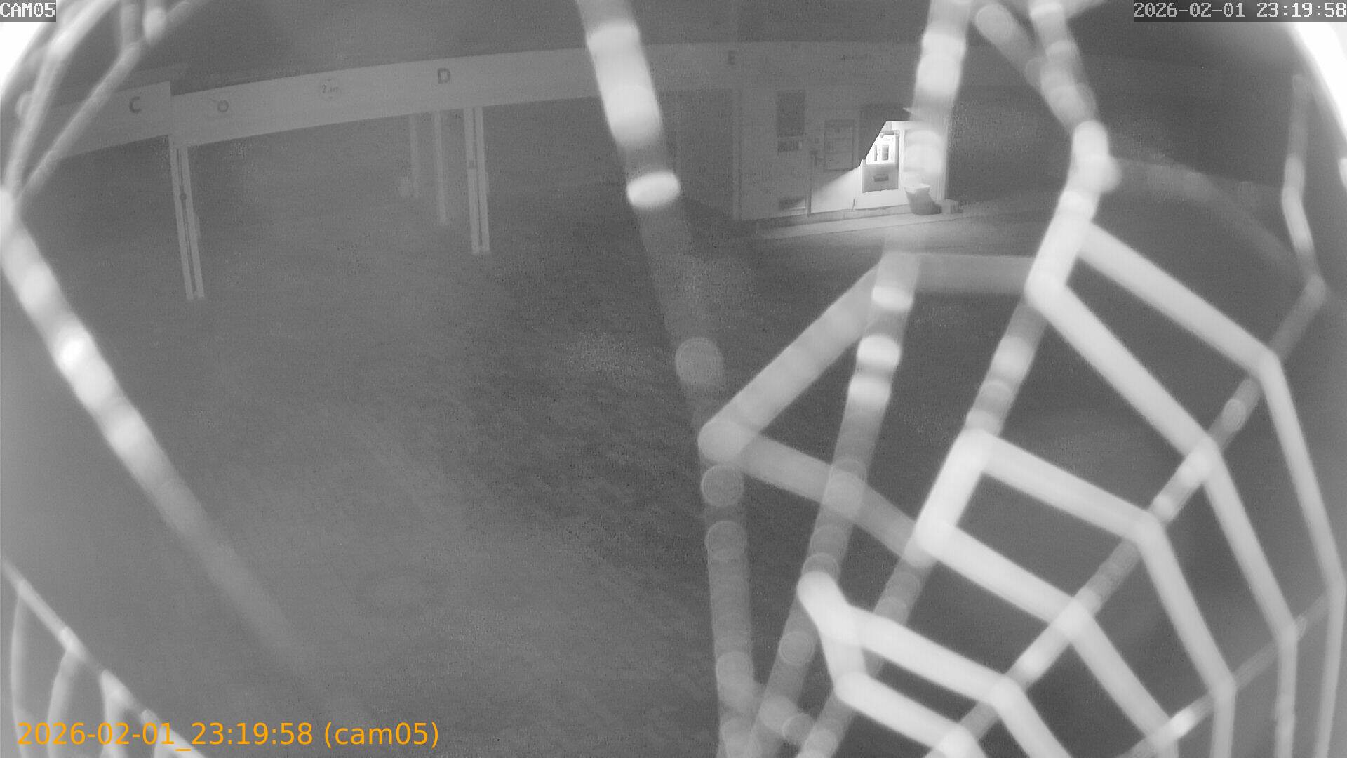 thumbnail_20260201231958