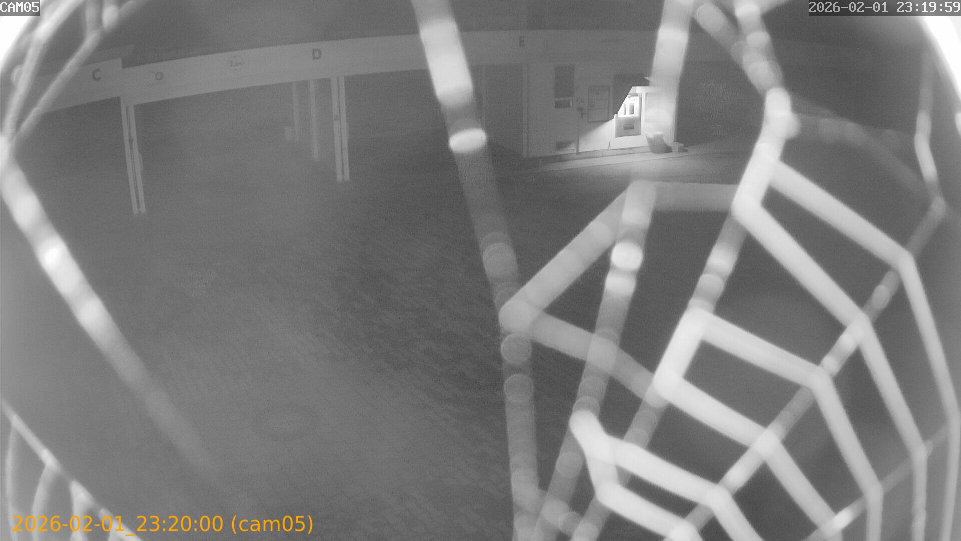 thumbnail_20260201232000