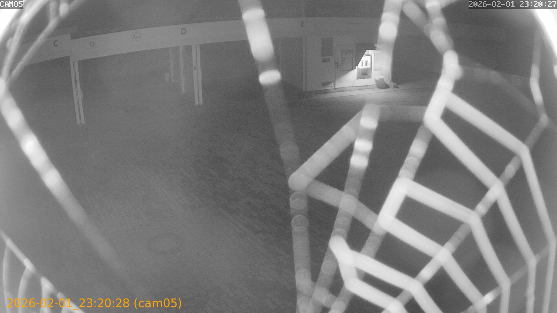 thumbnail_20260201232028