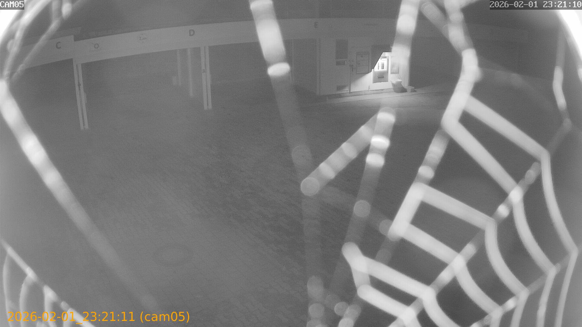 thumbnail_20260201232111