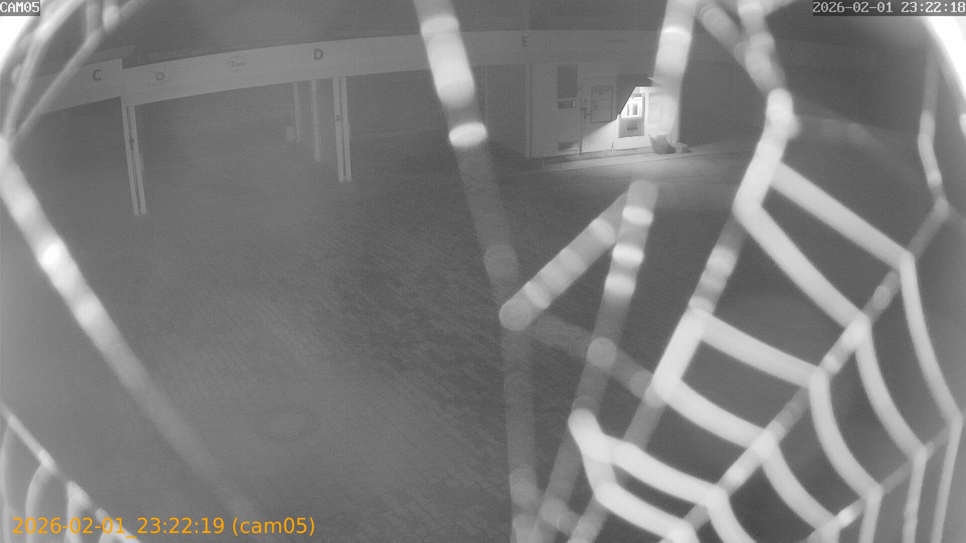 thumbnail_20260201232219