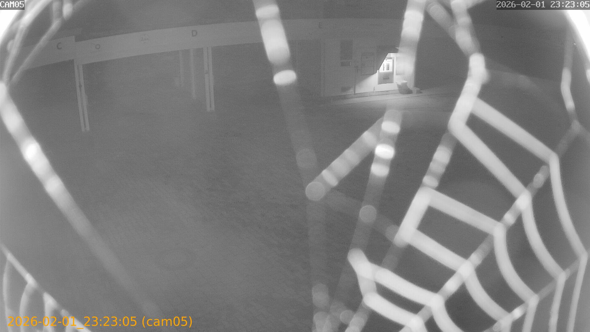 thumbnail_20260201232305