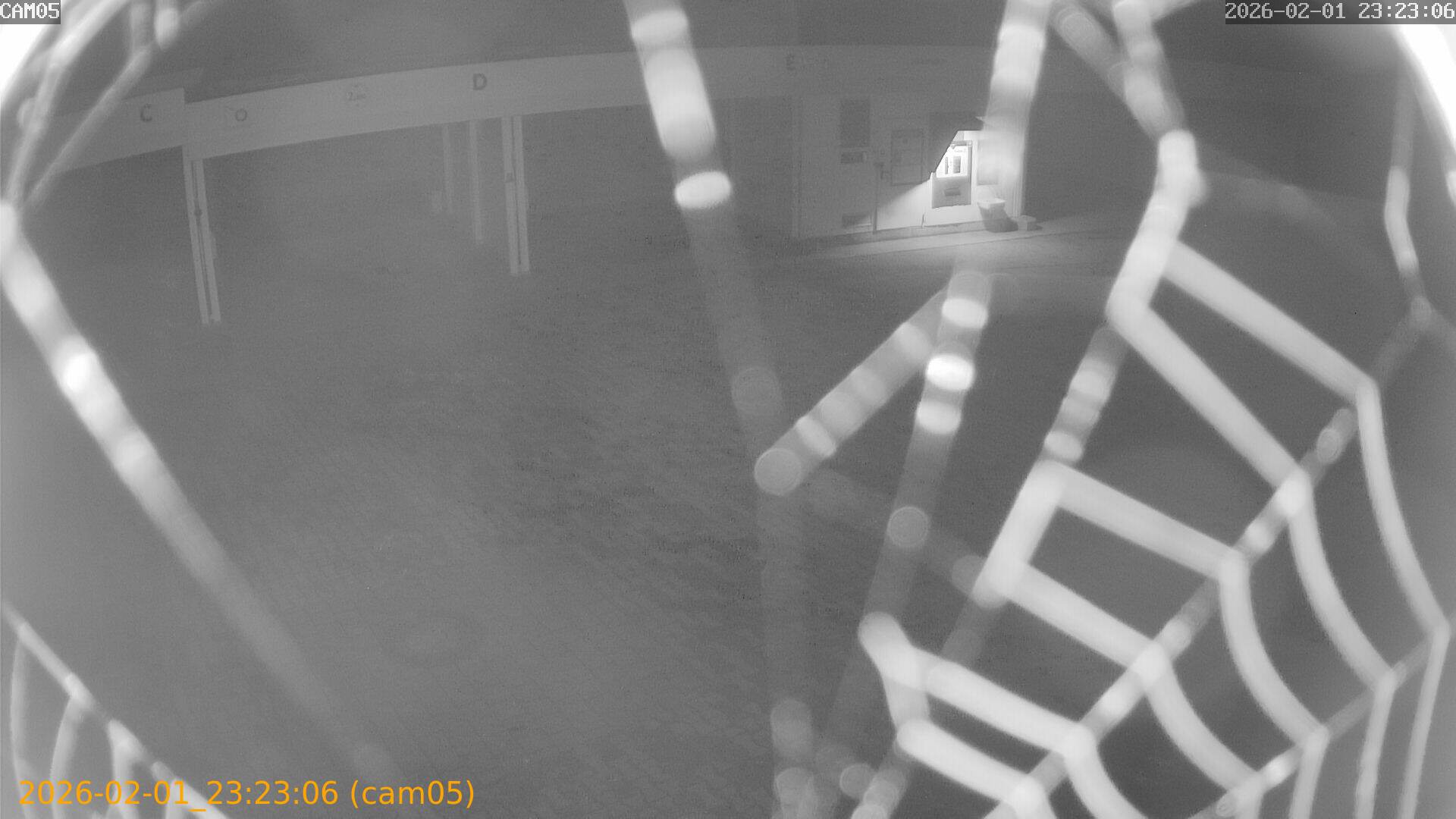 thumbnail_20260201232306